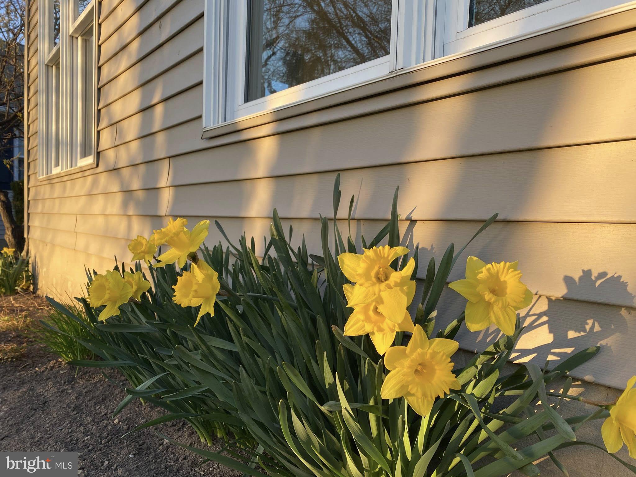 ARBOR GATE - Residential