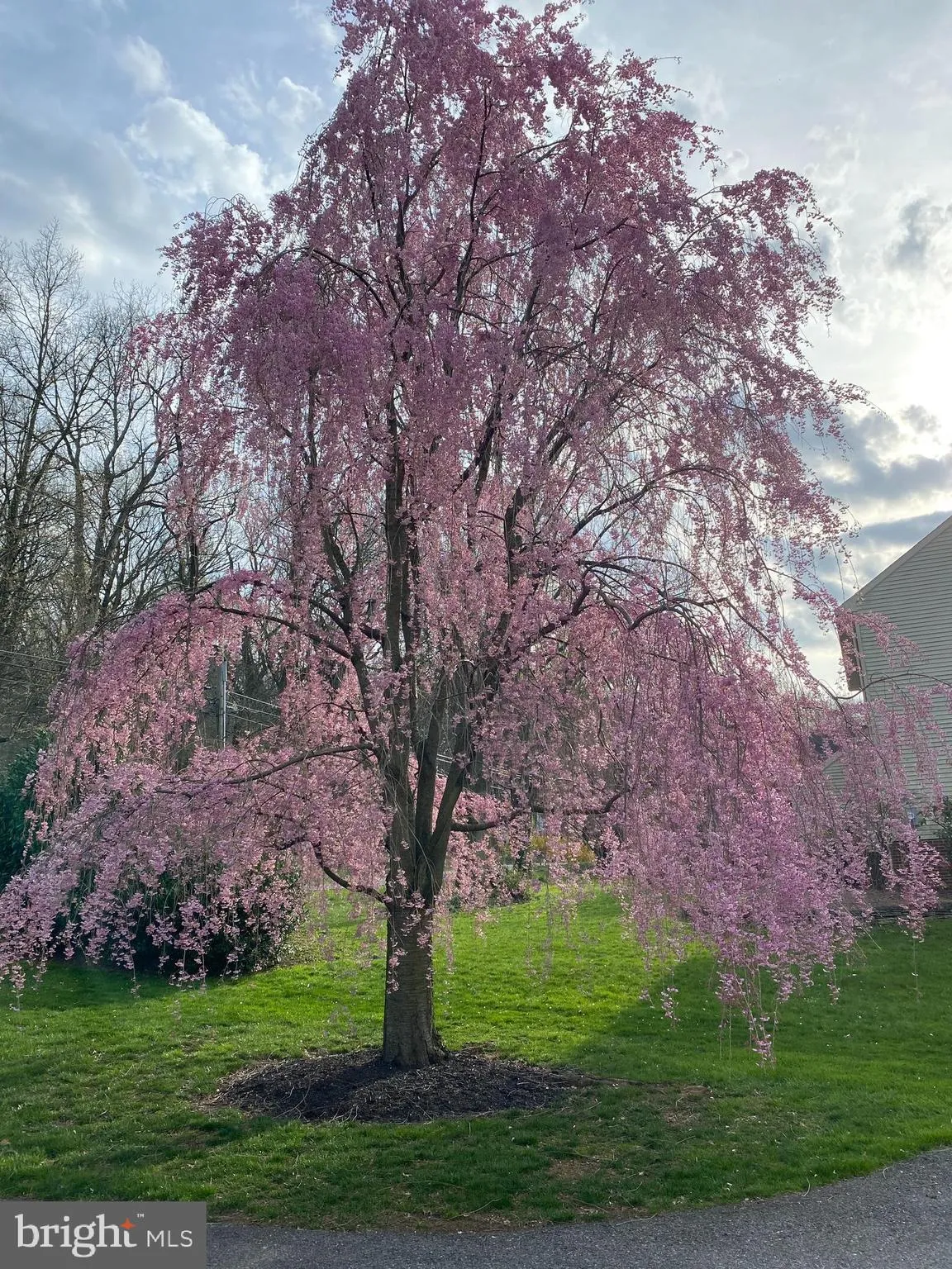 Lancaster, Pennsylvania 17601, United States, 4 Bedrooms Bedrooms, ,3 BathroomsBathrooms,Residential,Active,252824