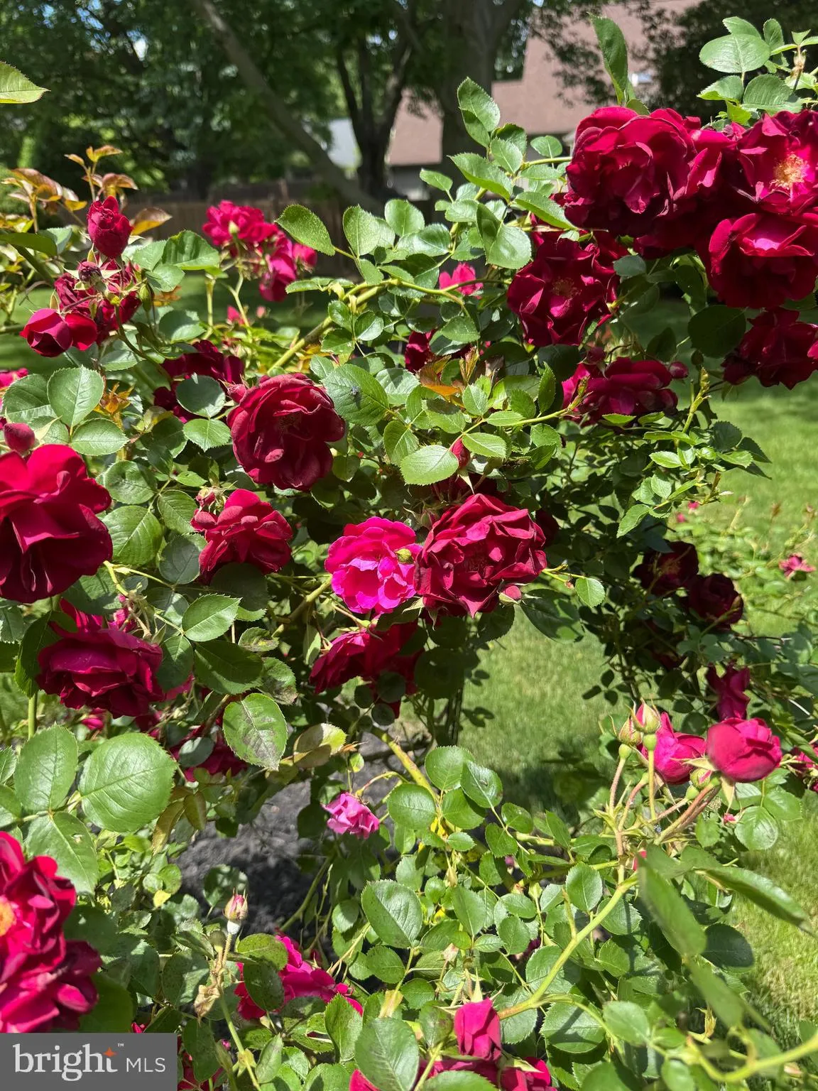 Lancaster, Pennsylvania 17601, United States, 4 Bedrooms Bedrooms, ,3 BathroomsBathrooms,Residential,Active,252824