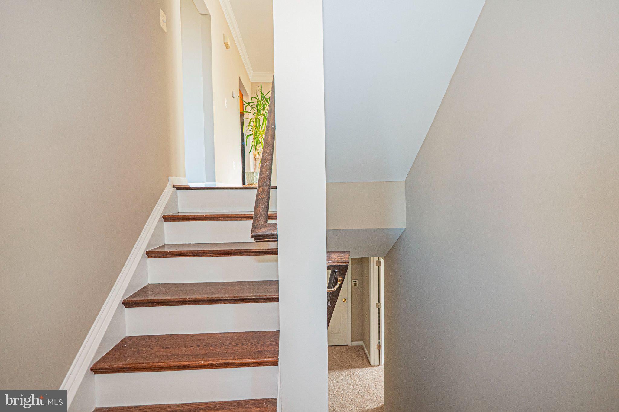 22619 UPPERVILLE HEIGHTS SQUARE