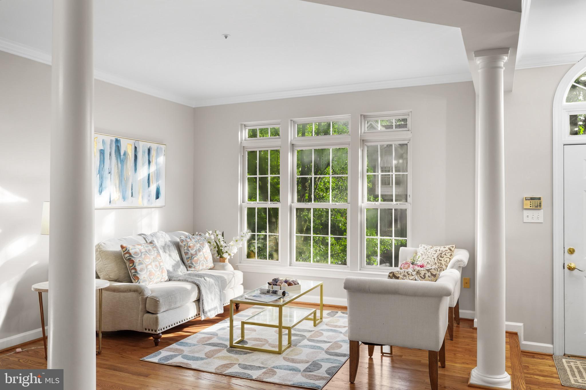 WILLOWS OF POTOMAC - Residential