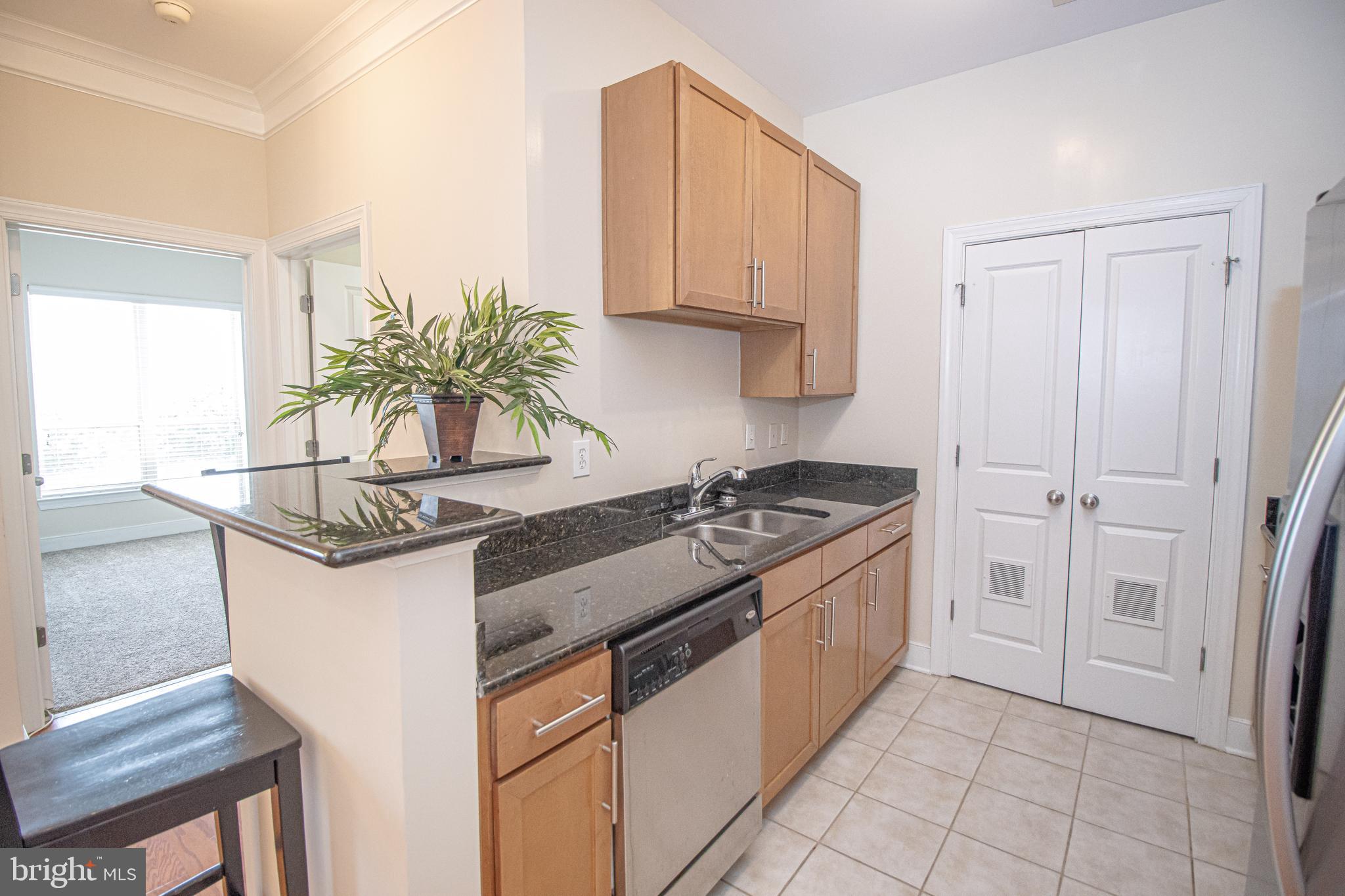 TRIBECA AT CAMP SPRINGS - Residential