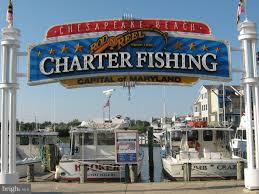 CHESAPEAKE VILLAGE - Residential