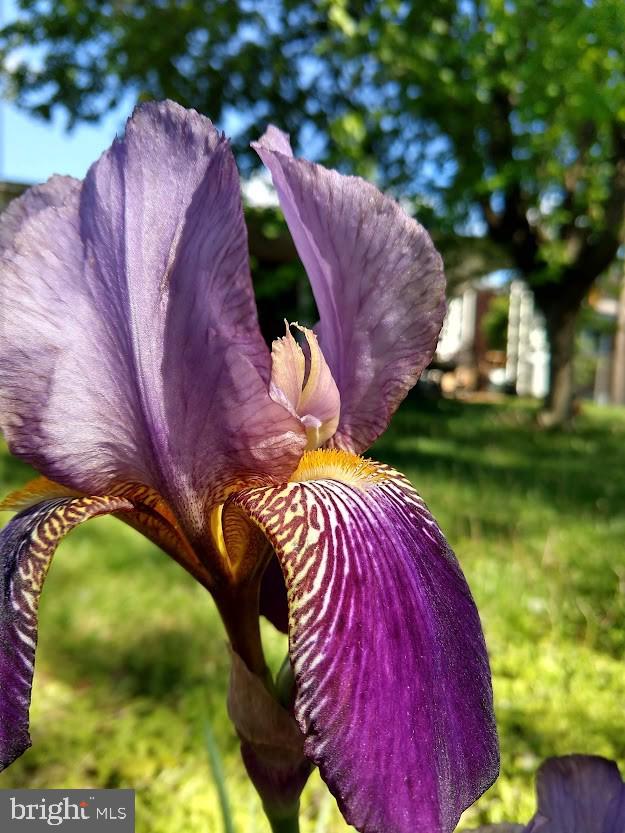 MARLOW - Residential