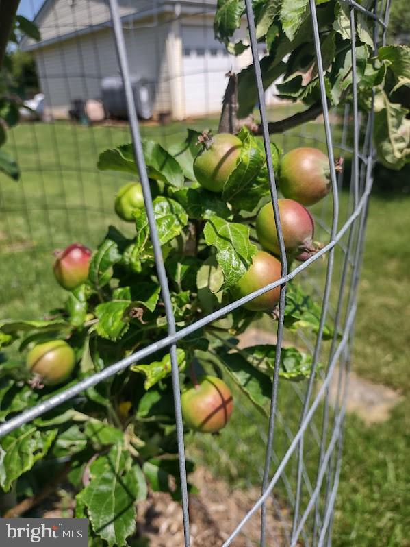 MARLOW - Residential