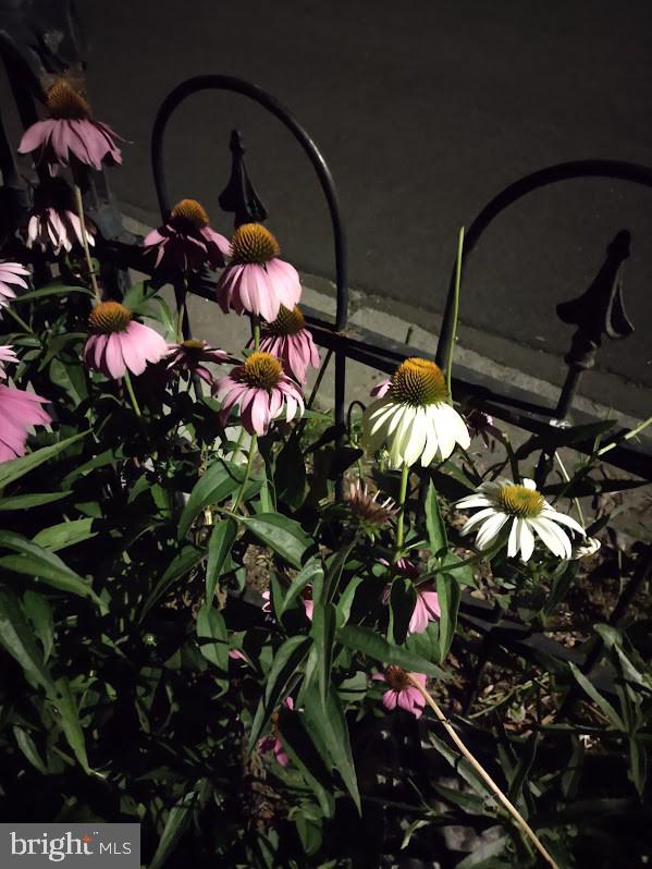 MARLOW - Residential