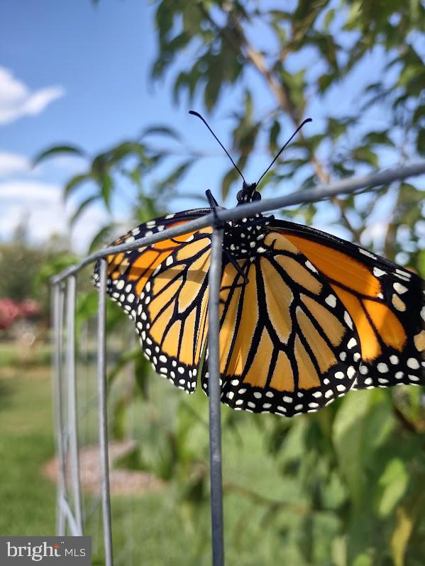 MARLOW - Residential