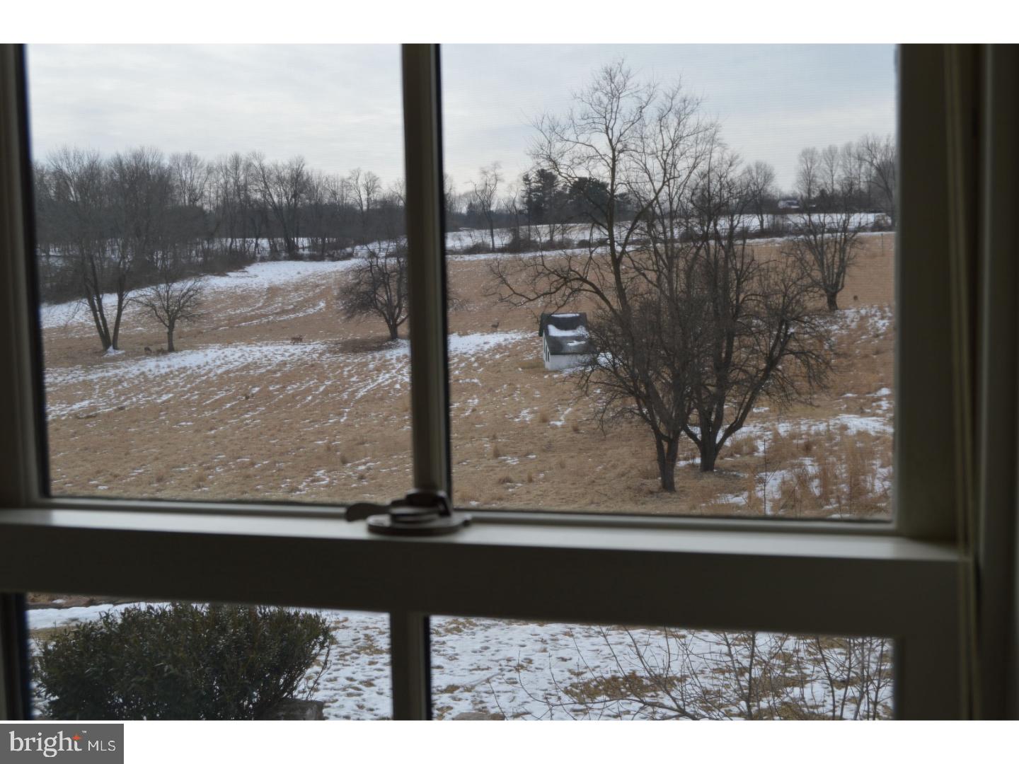 RADNOR HUNT - Residential