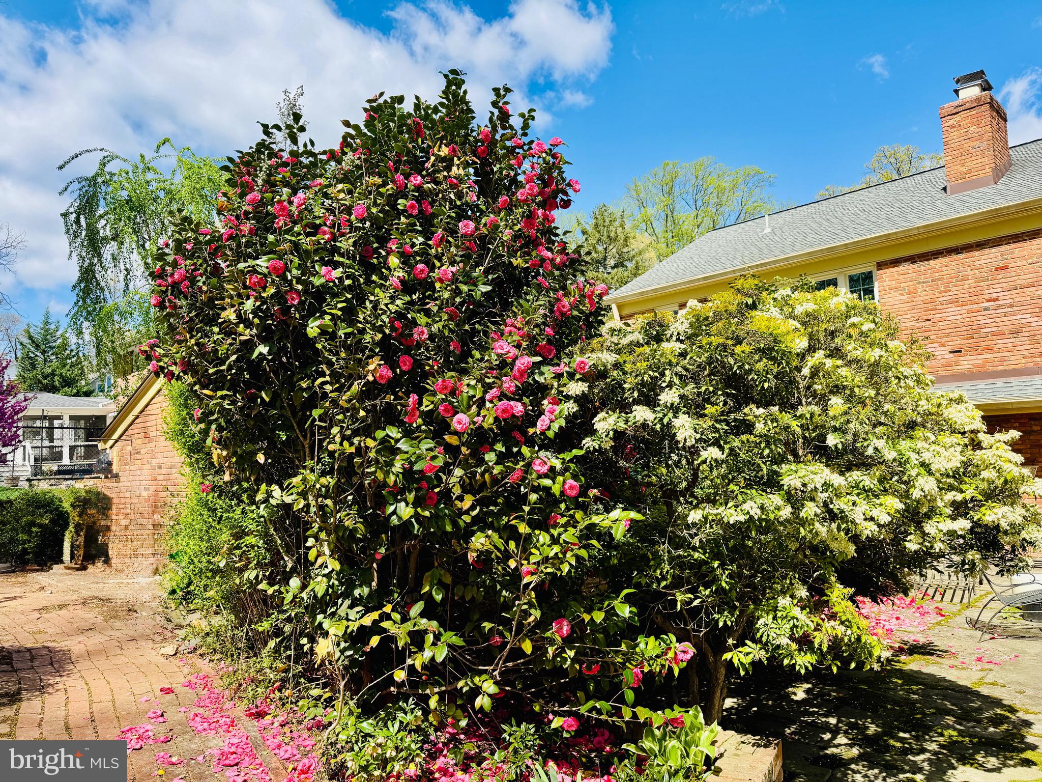 MANTUA - Residential