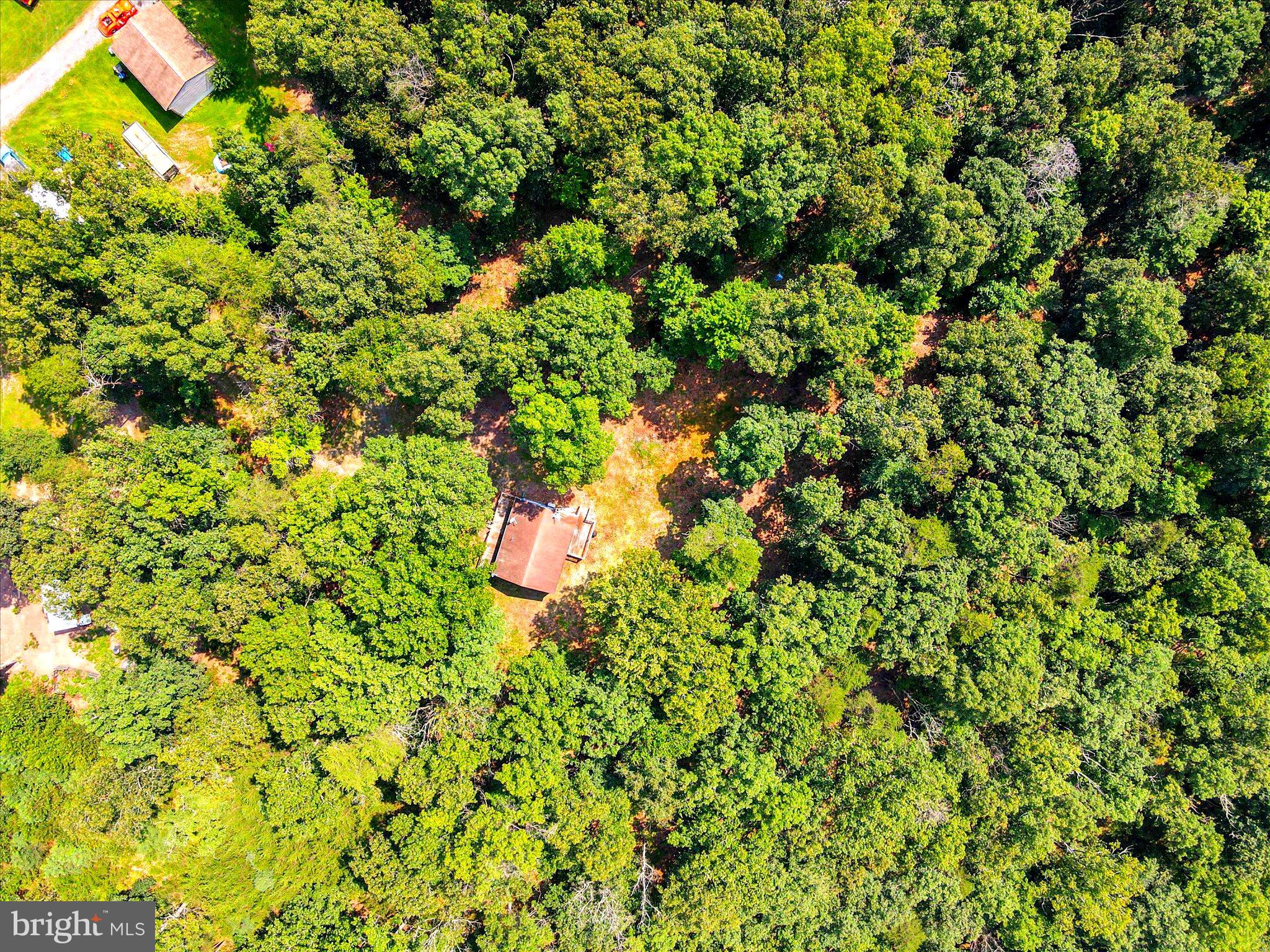 CABIN IN THE PINES - Residential