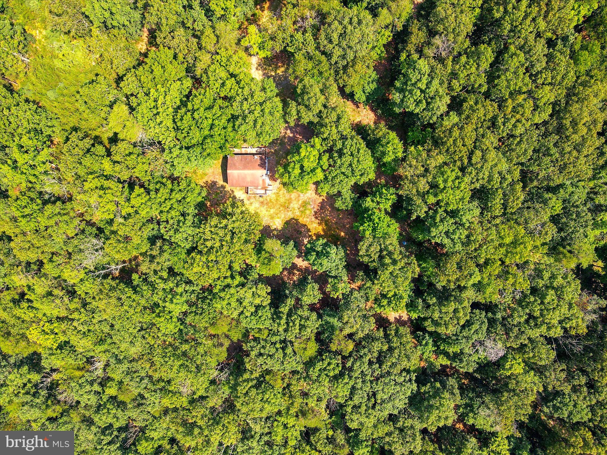 CABIN IN THE PINES - Residential