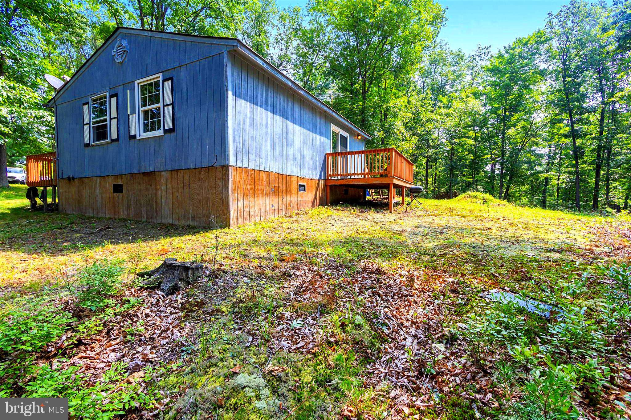 CABIN IN THE PINES - Residential