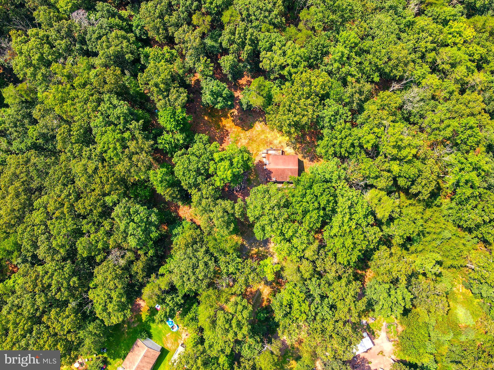 CABIN IN THE PINES - Residential