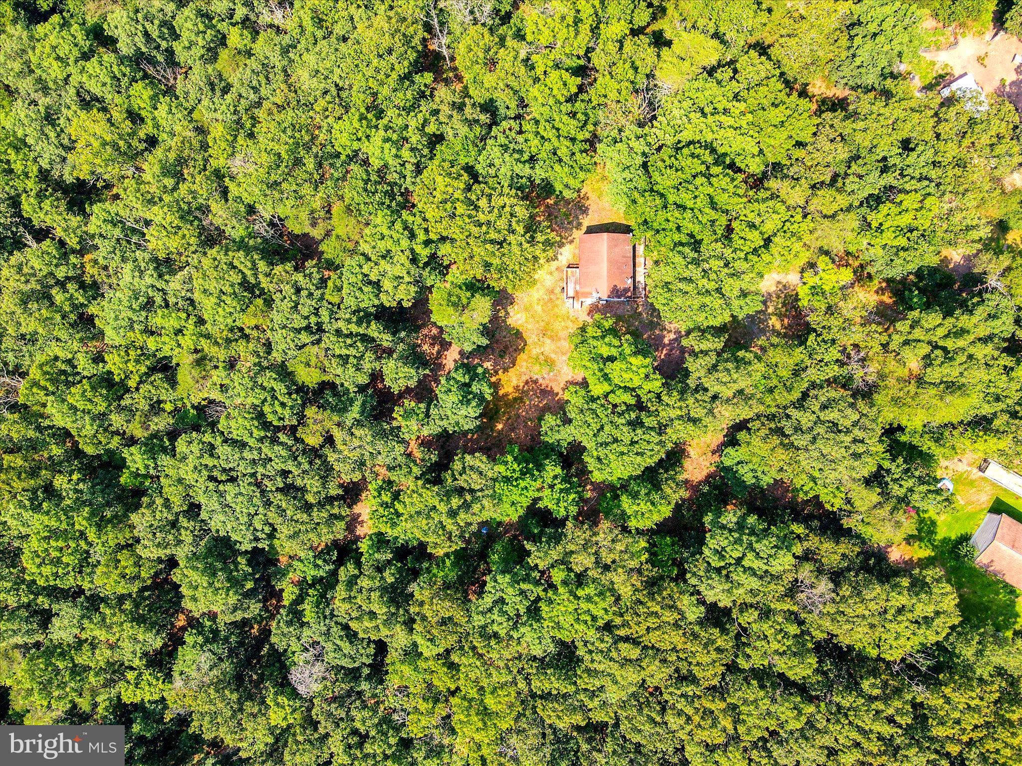 CABIN IN THE PINES - Residential