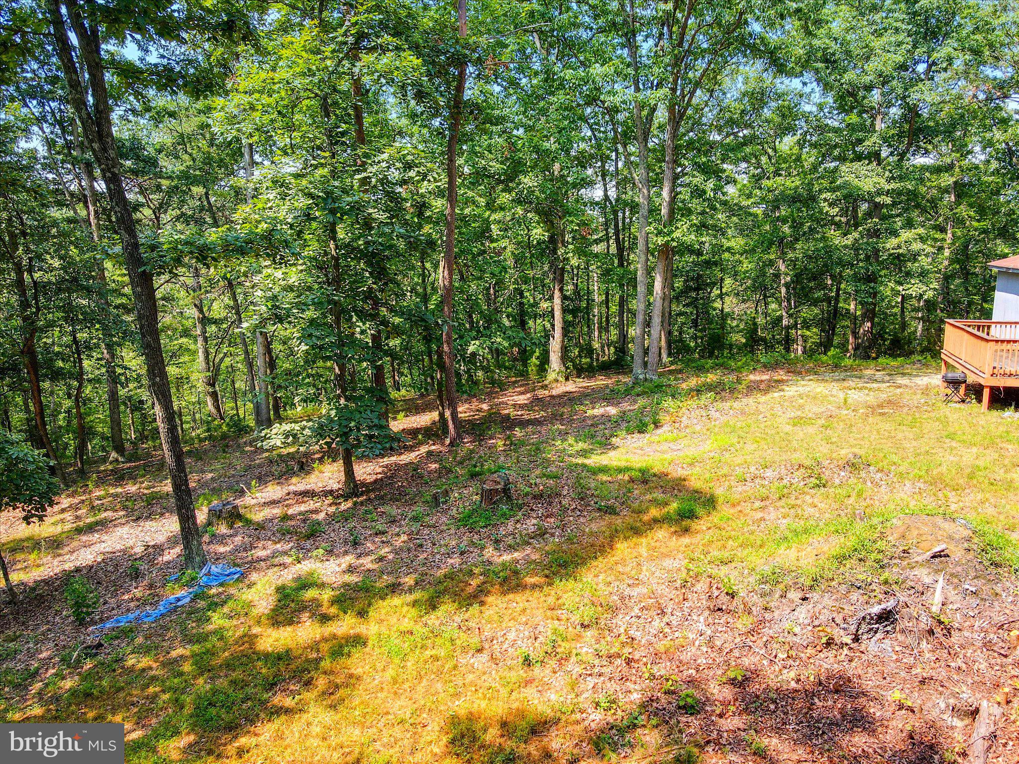 CABIN IN THE PINES - Residential