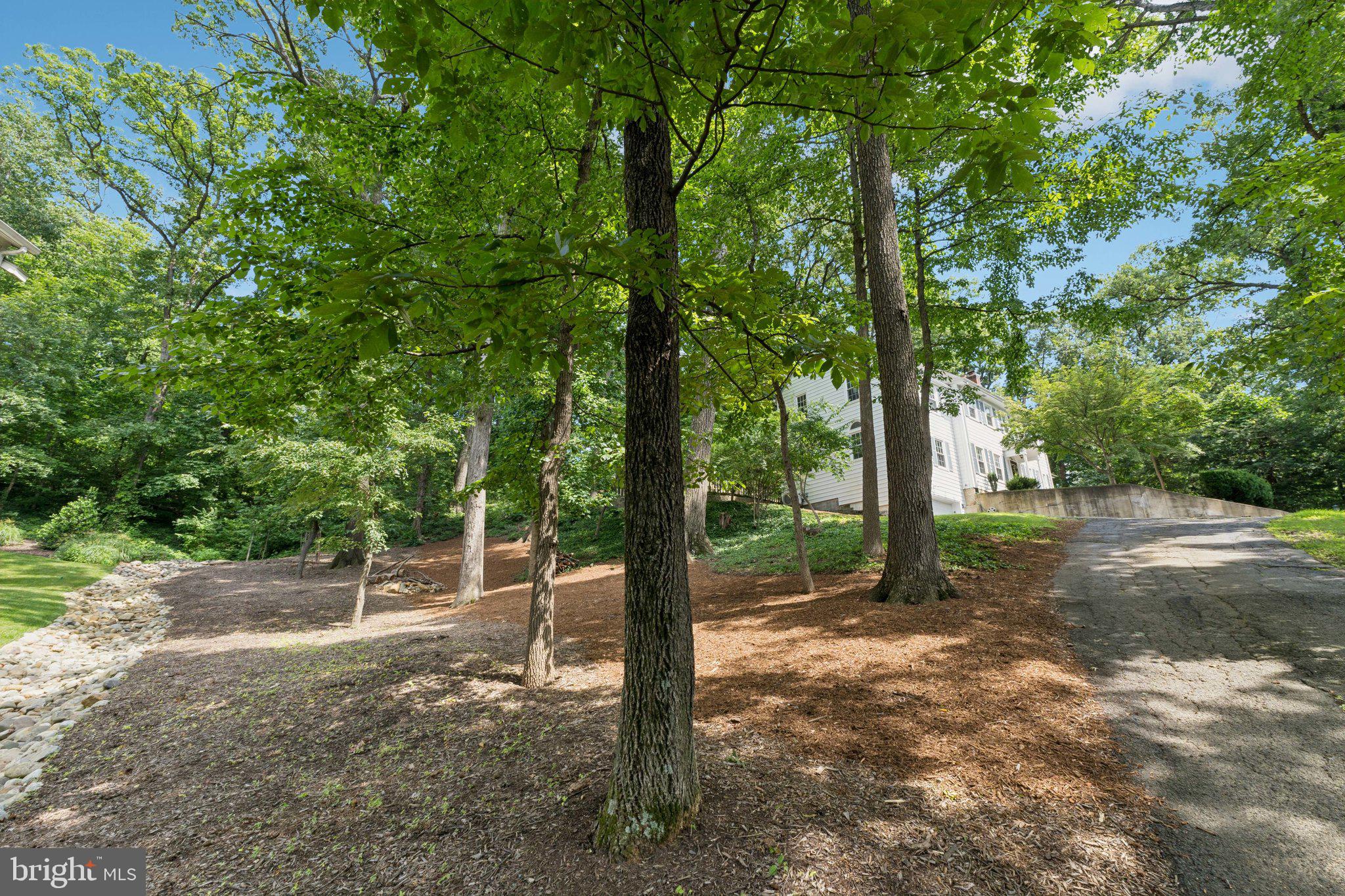 ARLINGTON RIDGE - Residential