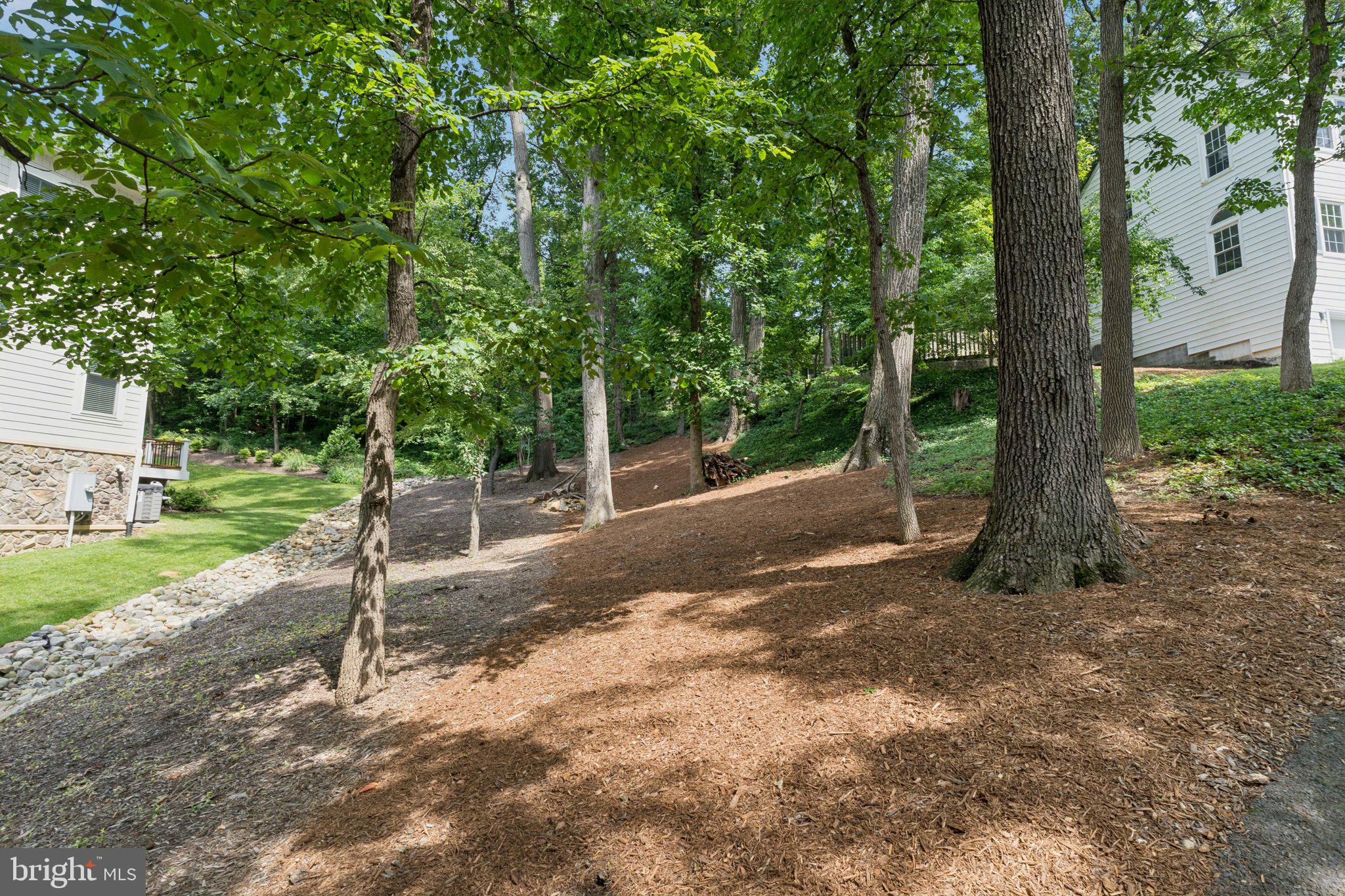 ARLINGTON RIDGE - Residential