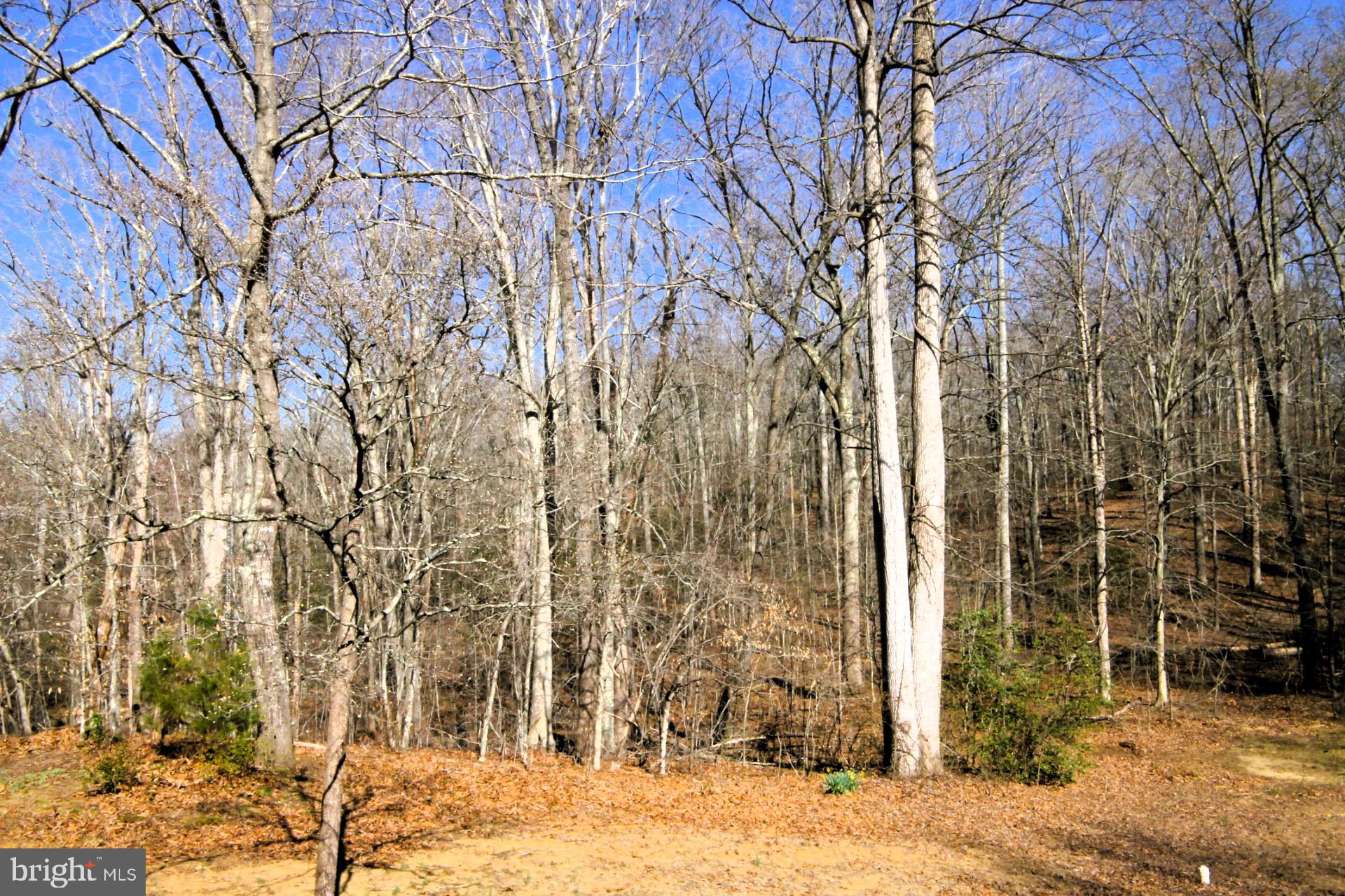 HARWOOD - Residential