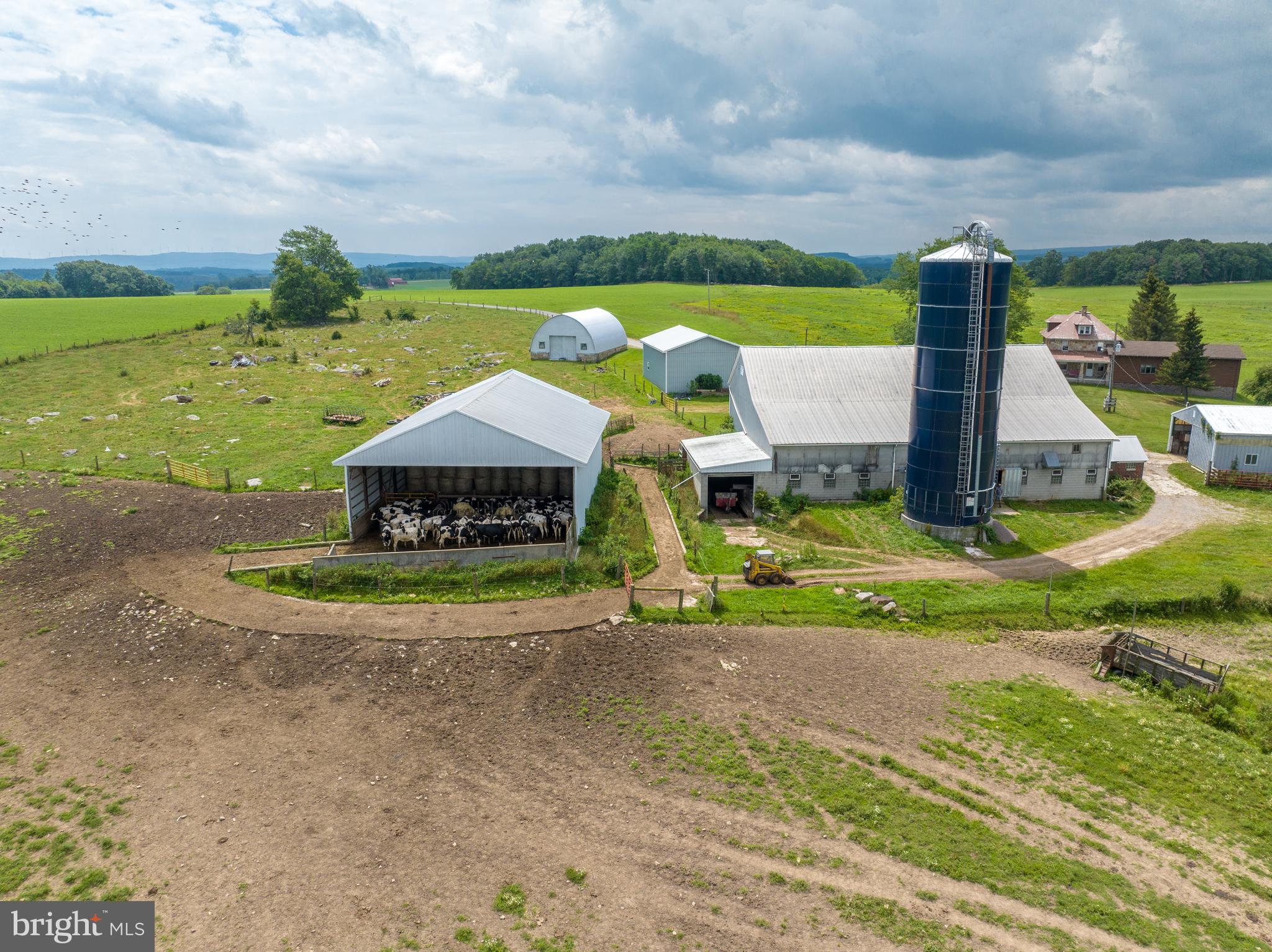 NONE AVAILABLE - Farm