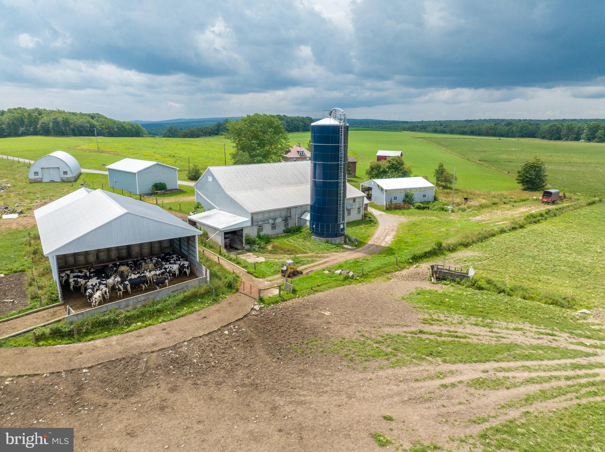 NONE AVAILABLE - Farm