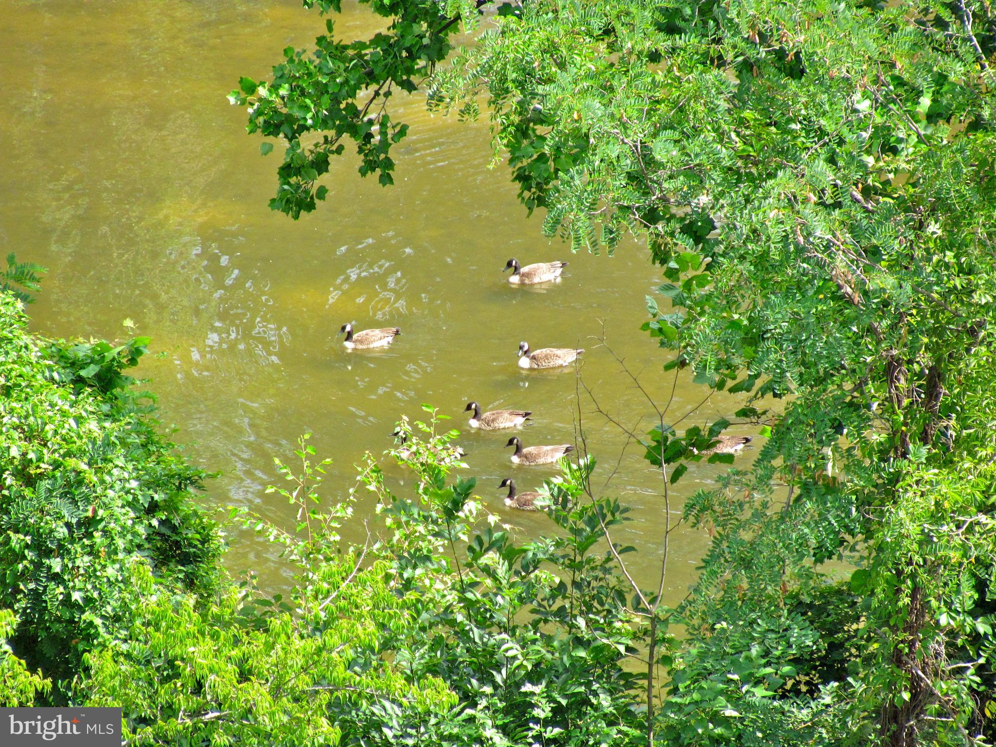 HALLMARK - Residential