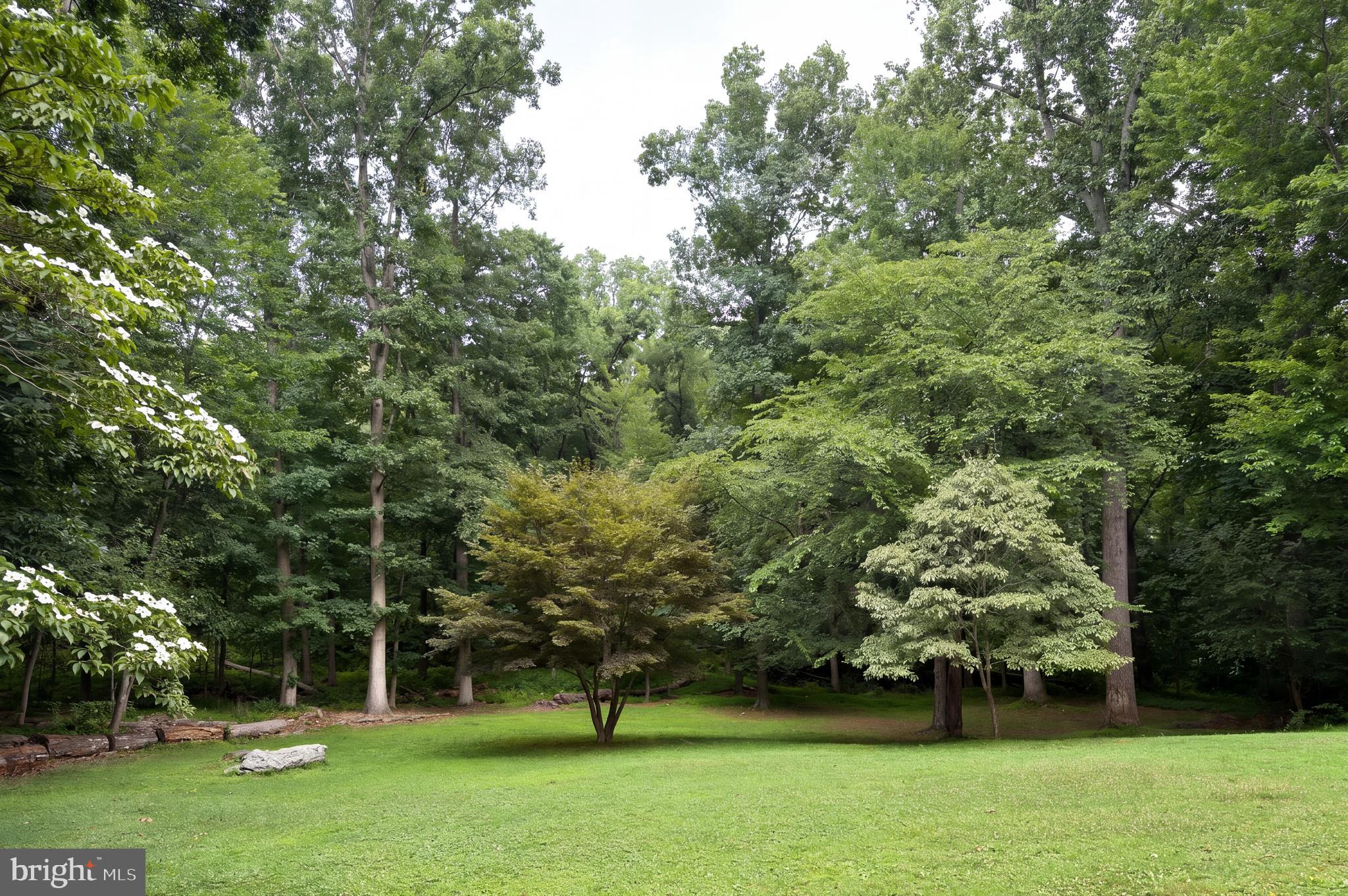 1480 ALGONQUIN COURT