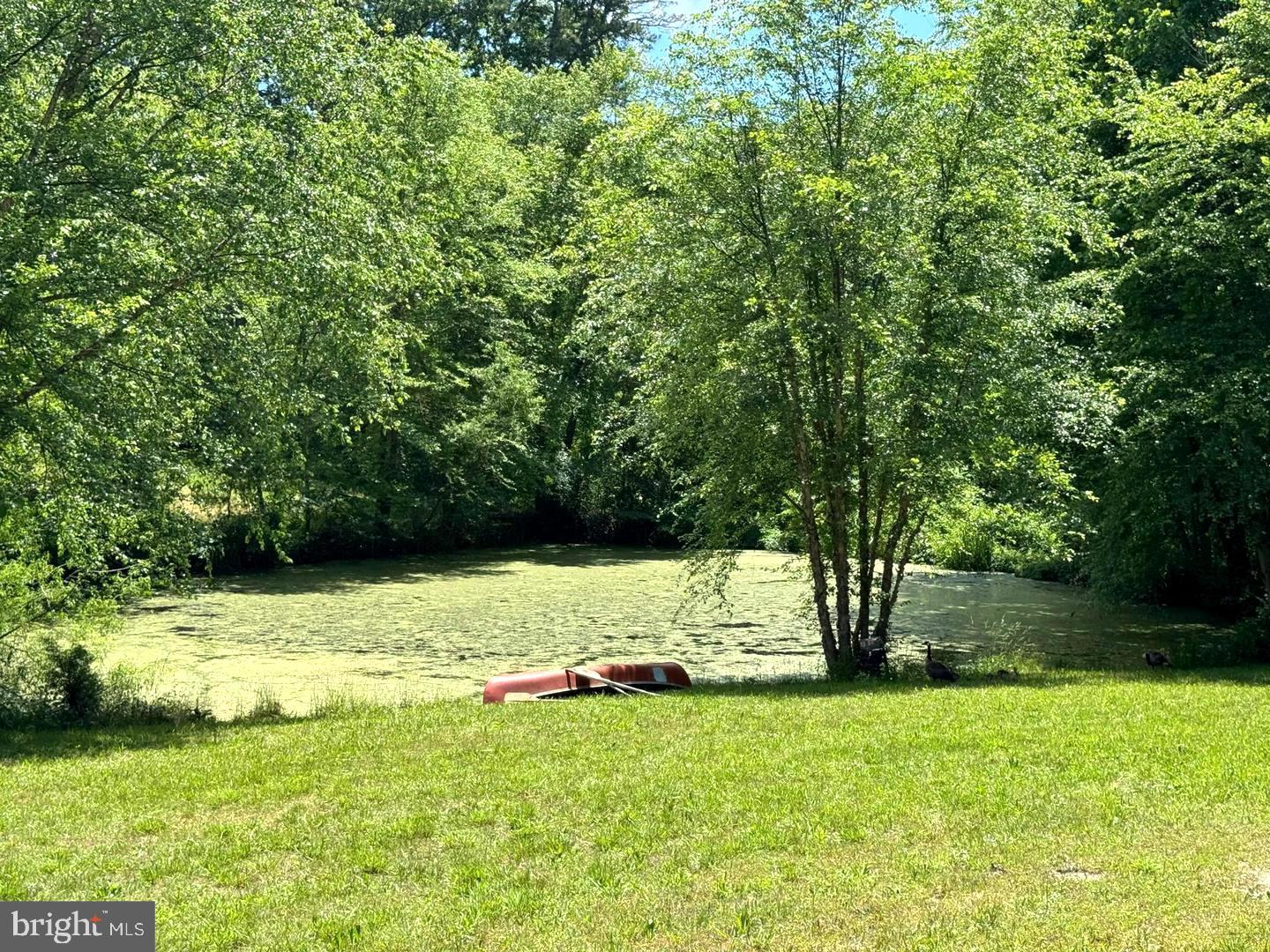 SEVERN - Residential