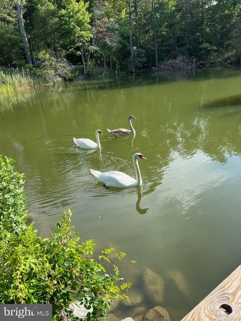 CABIN POINT - Residential