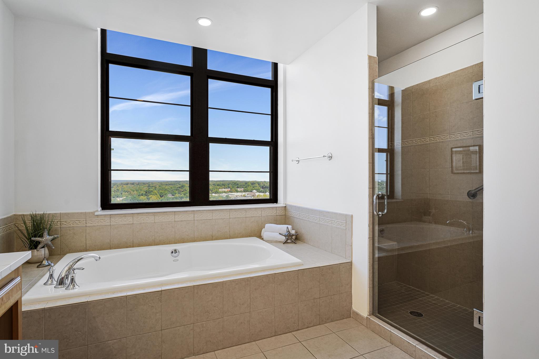 RESTON TOWN CENTER - Residential