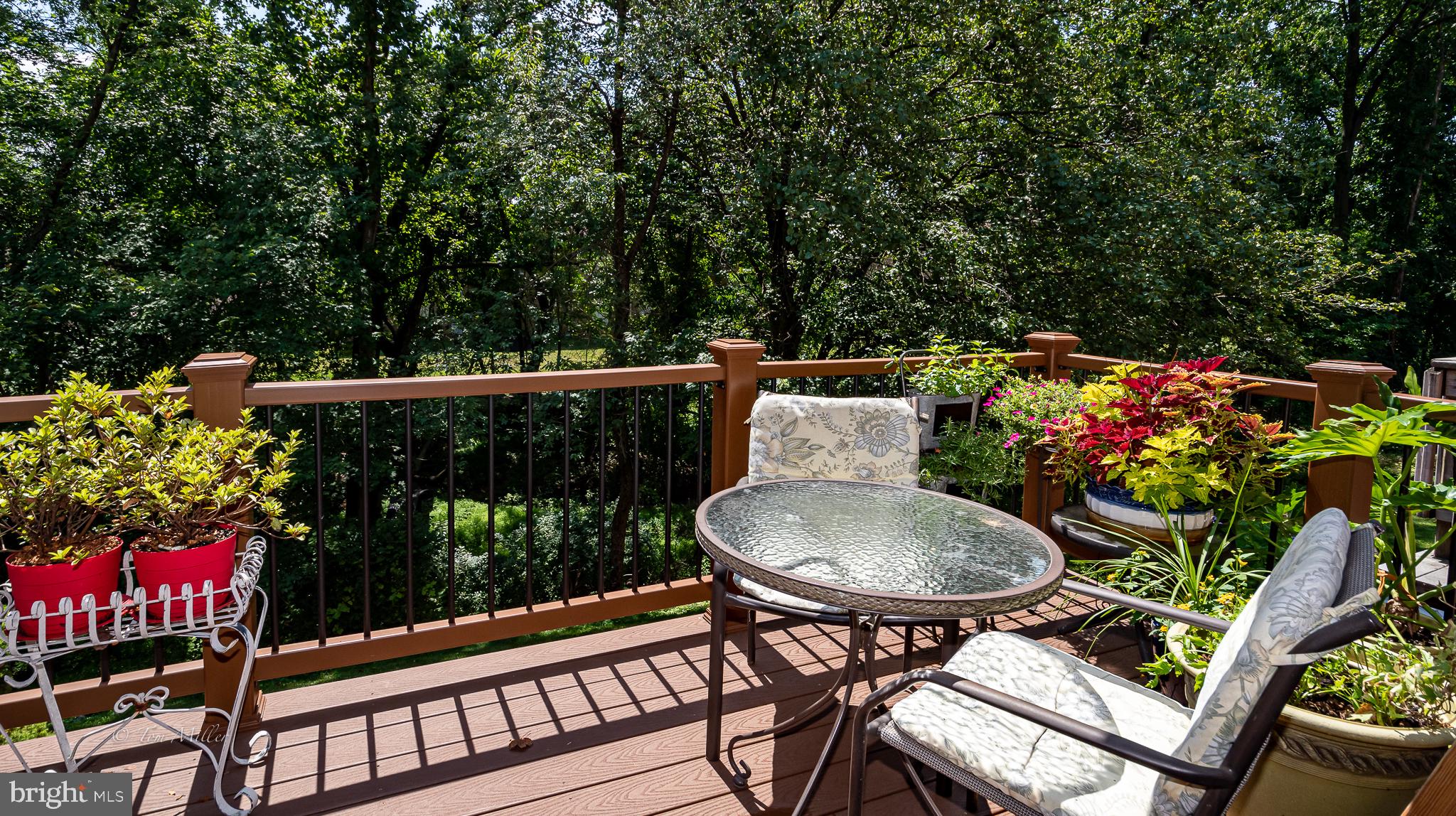 MAYS CHAPEL VILLAGE - Residential