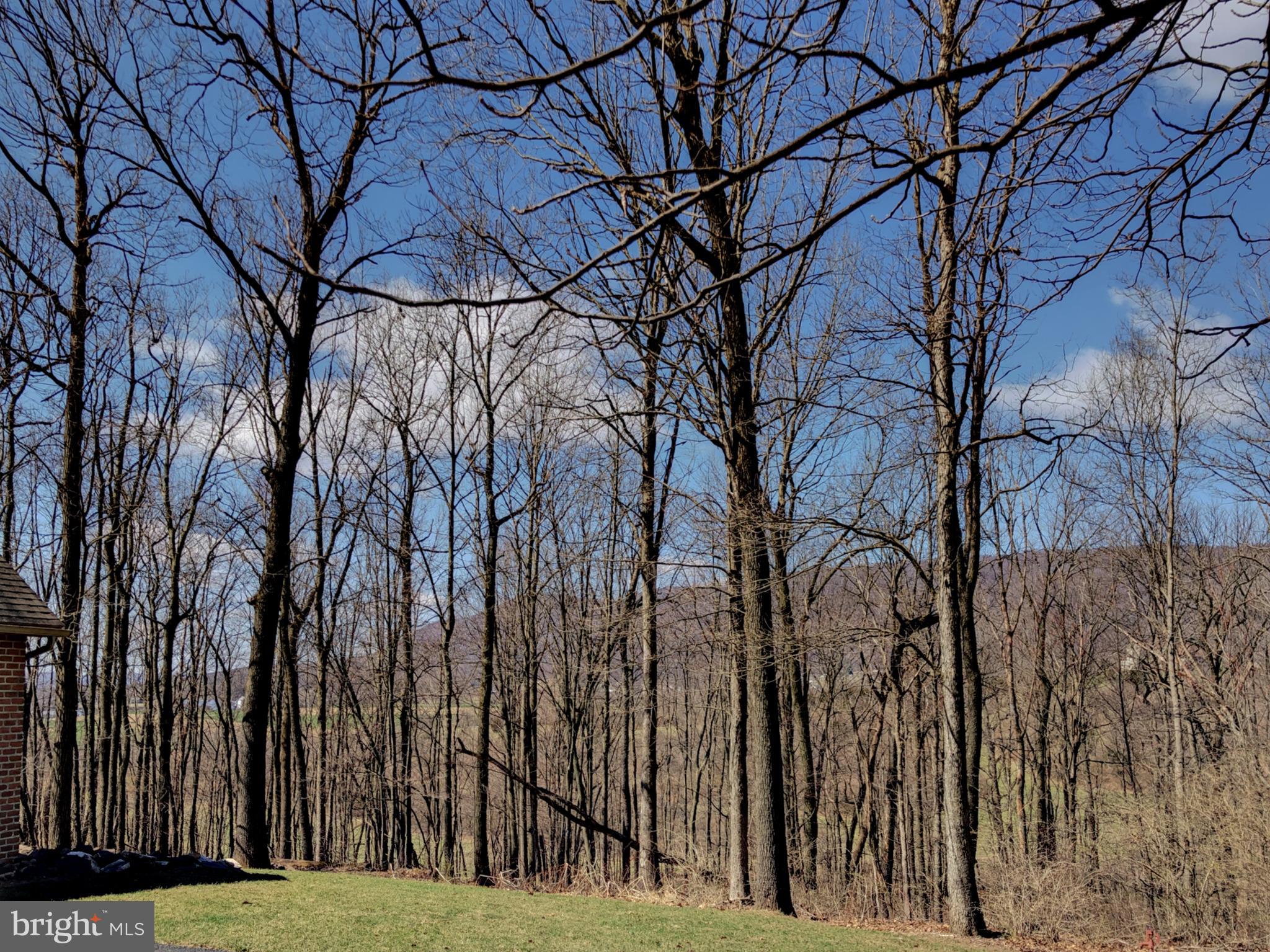 ST THOMAS TWP - Residential