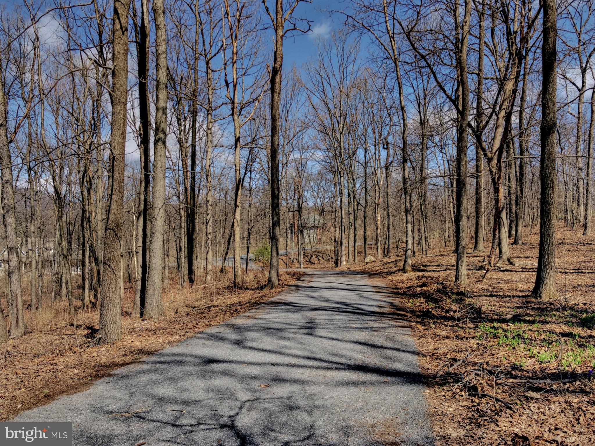 ST THOMAS TWP - Residential