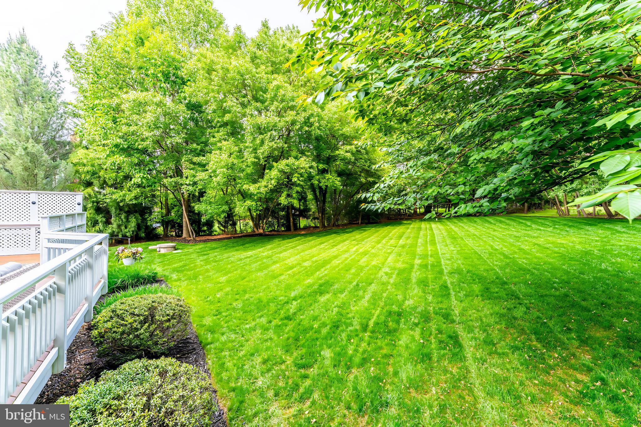 12185 WILD HORSE DRIVE