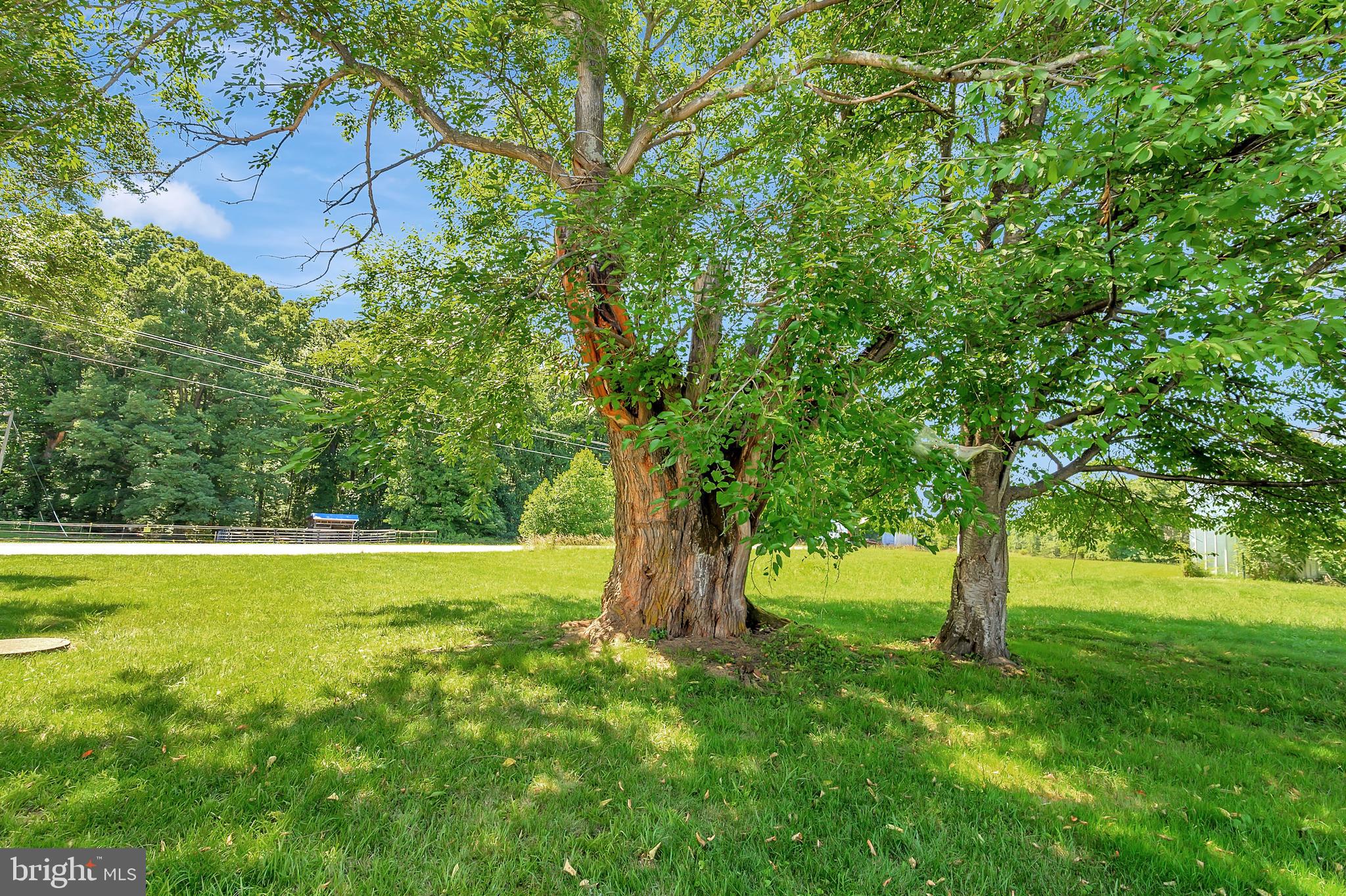 HARTWOOD - Residential Lease