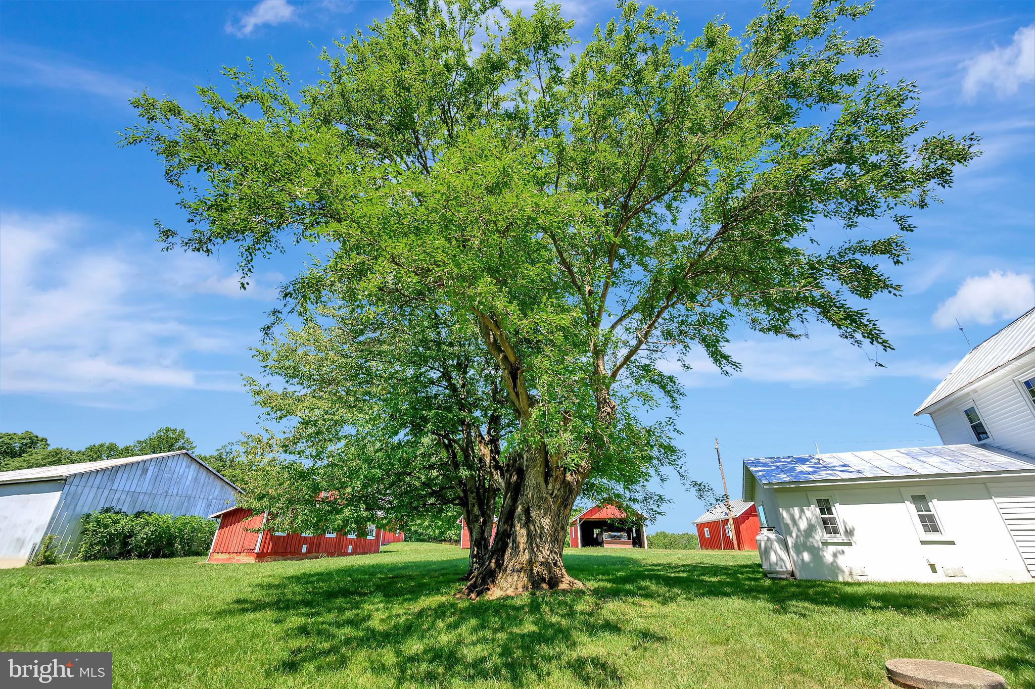 HARTWOOD - Residential Lease