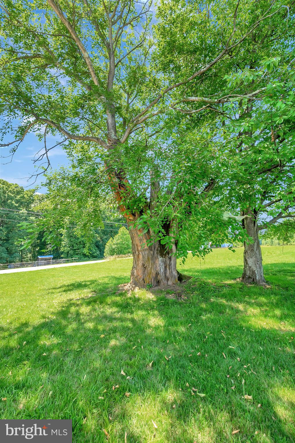 HARTWOOD - Residential Lease