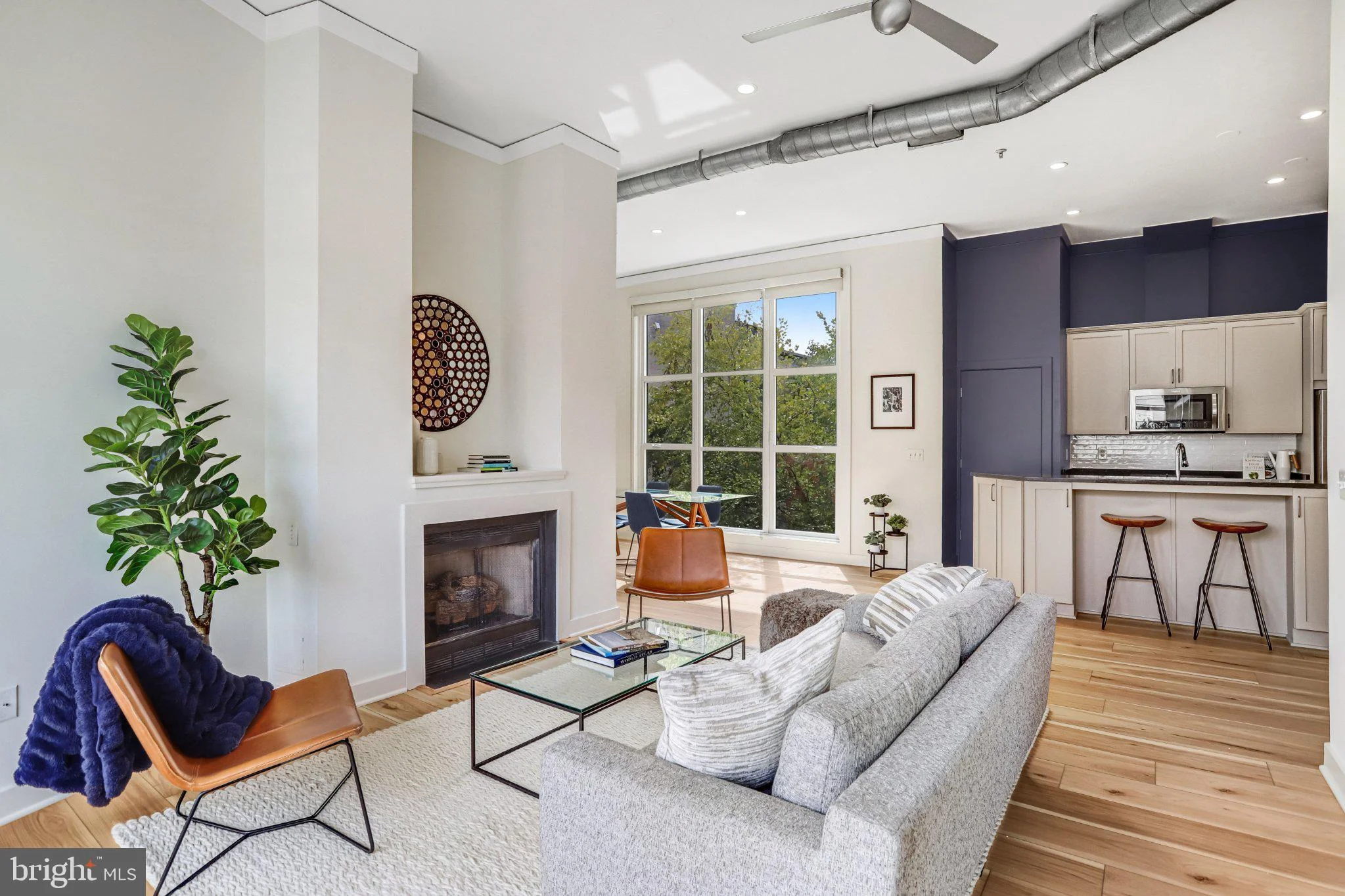 2380 Champlain Street NW Unit 306, Washington, DC, 20009