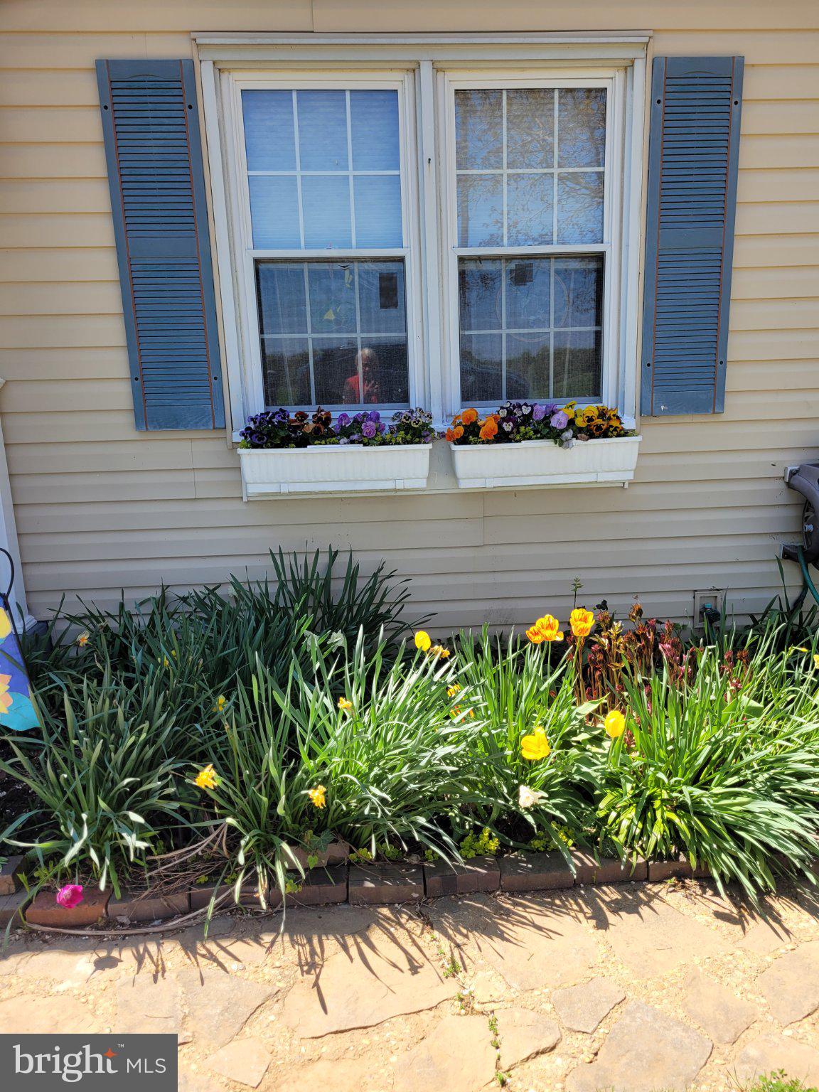 KENTMORE PARK - Residential