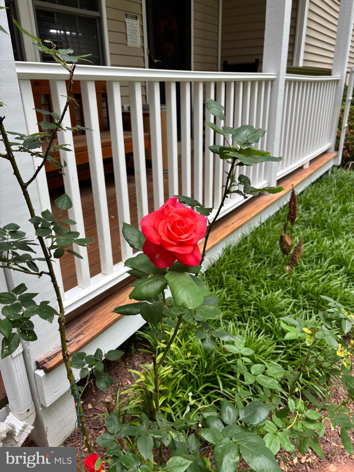 6309 BROOKEVIEW COURT