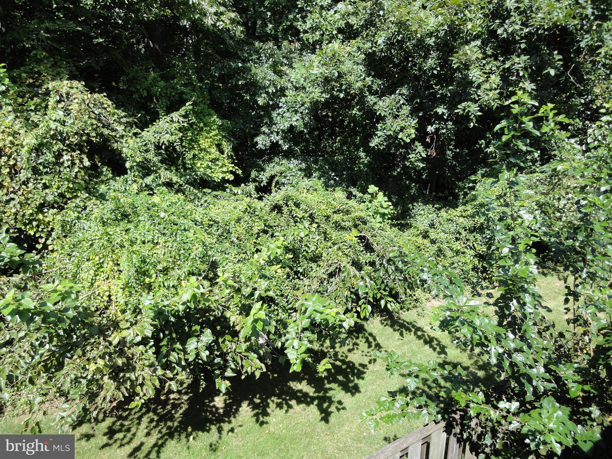 KINGSTOWNE - Residential