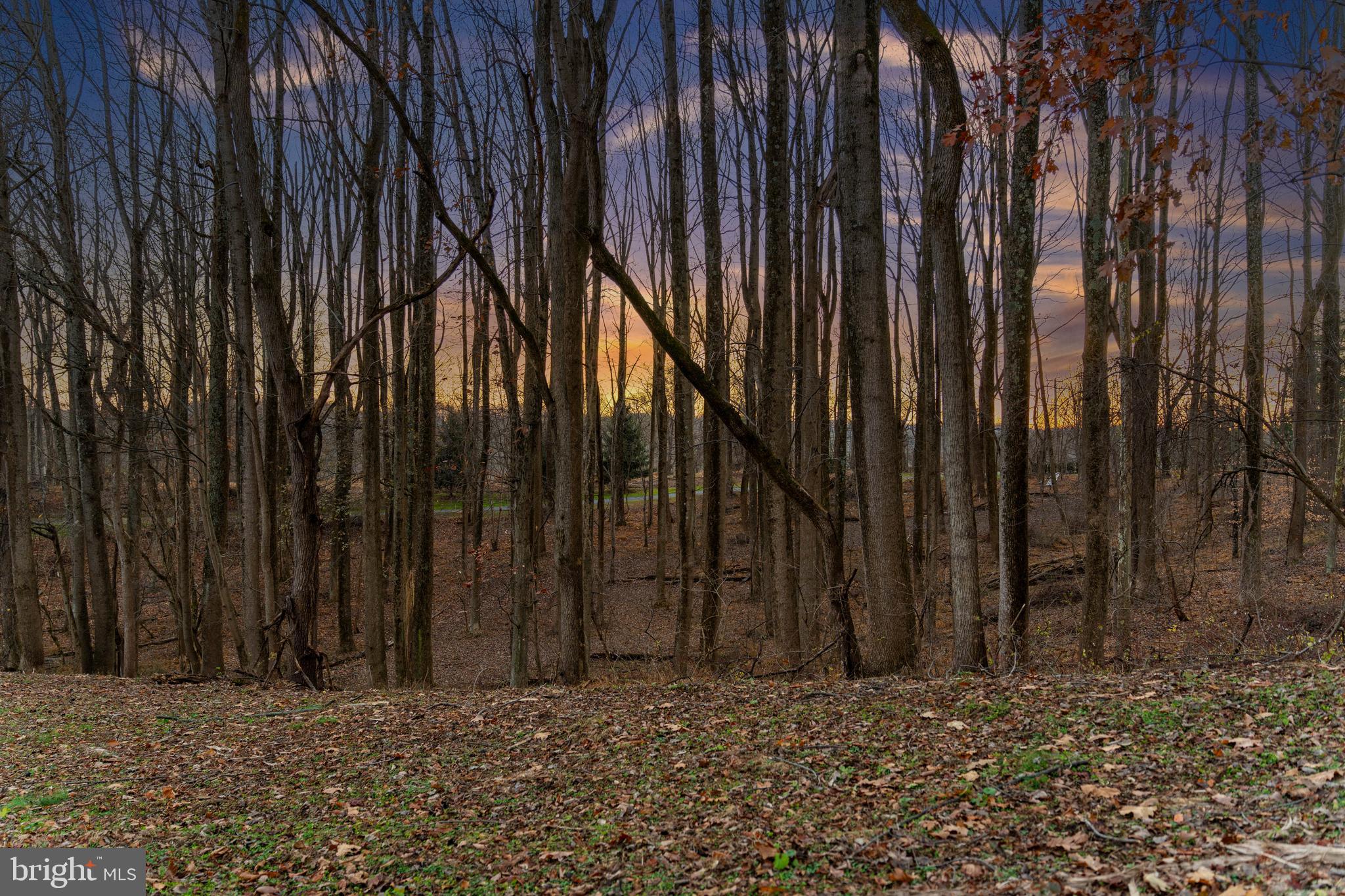 14498 WESTERN ROAD 2