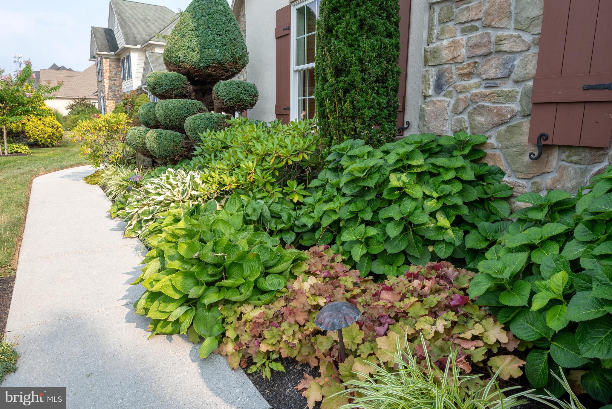 HAMPDEN SUMMIT - Residential