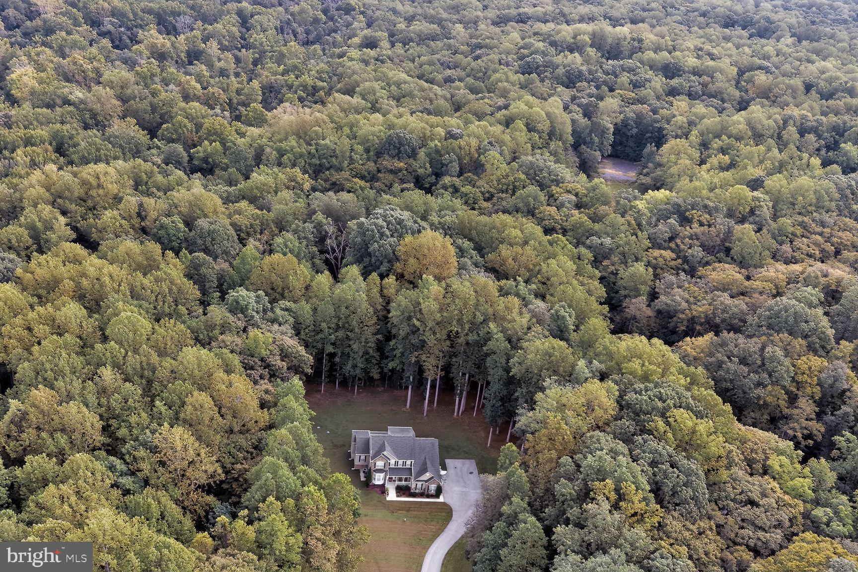 8100 HOLLOW TREE LANE