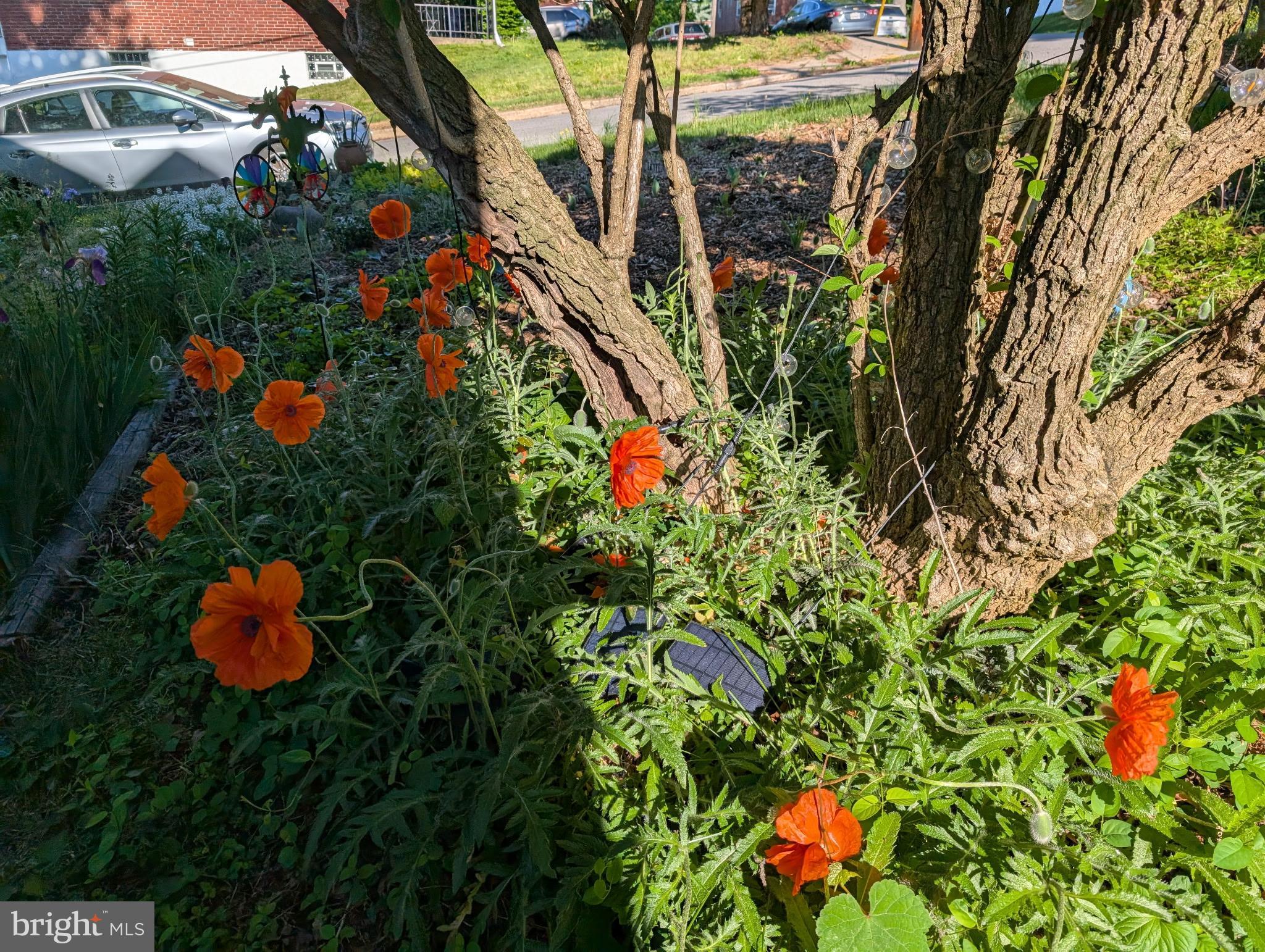 HAMILTON HEIGHTS - Residential