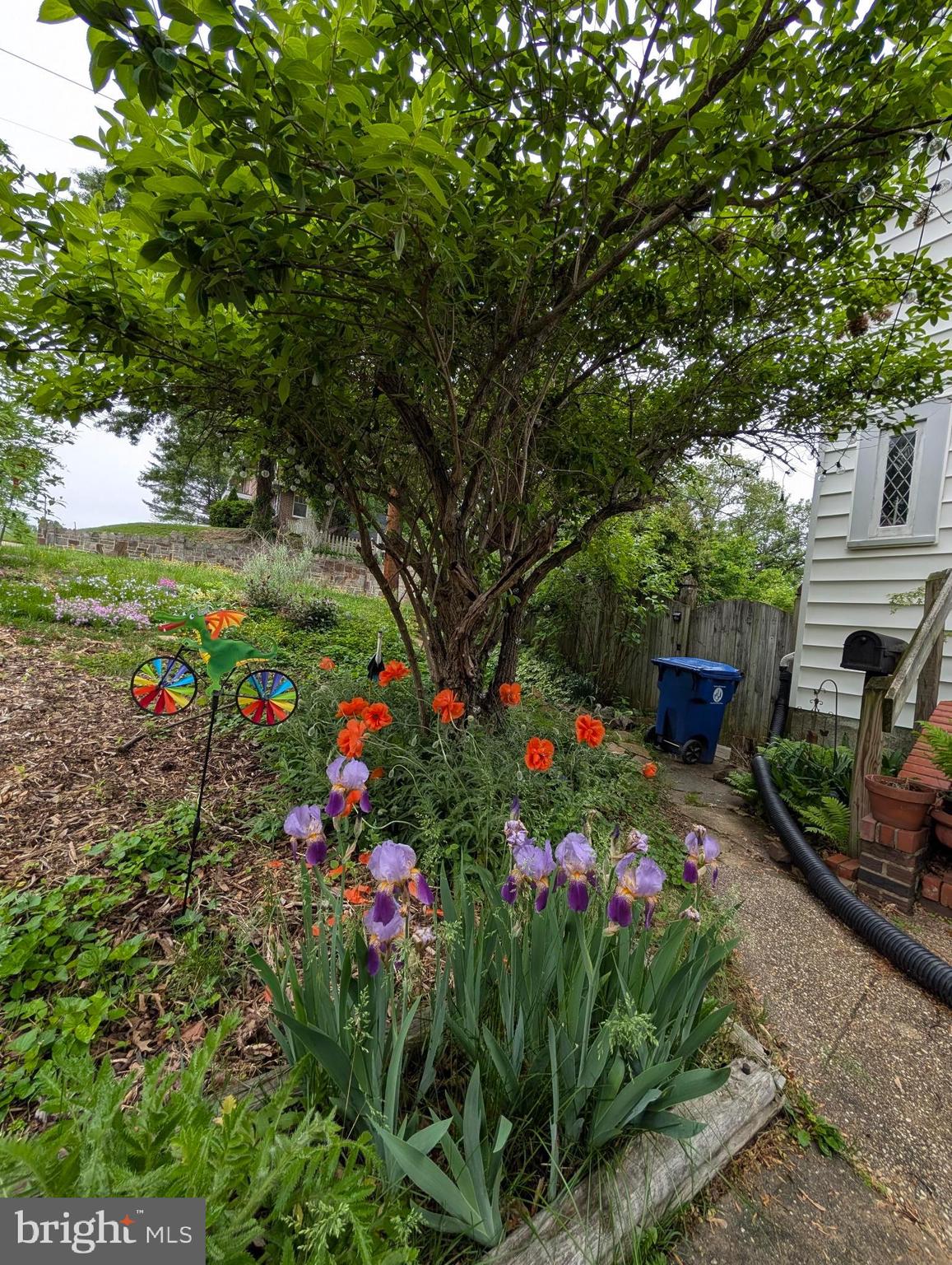 HAMILTON HEIGHTS - Residential