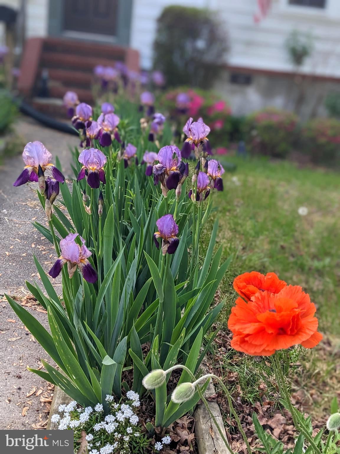 HAMILTON HEIGHTS - Residential