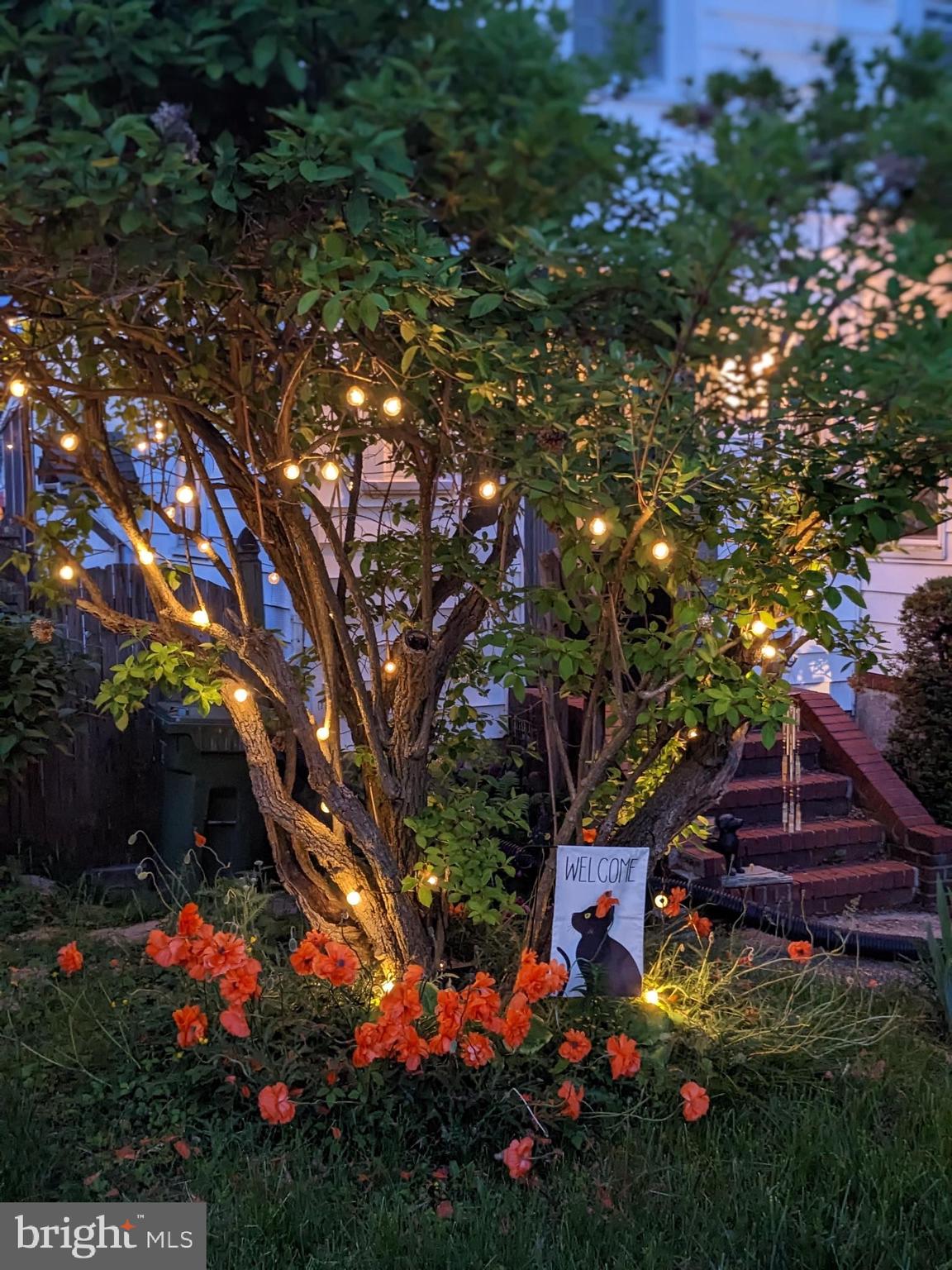 HAMILTON HEIGHTS - Residential