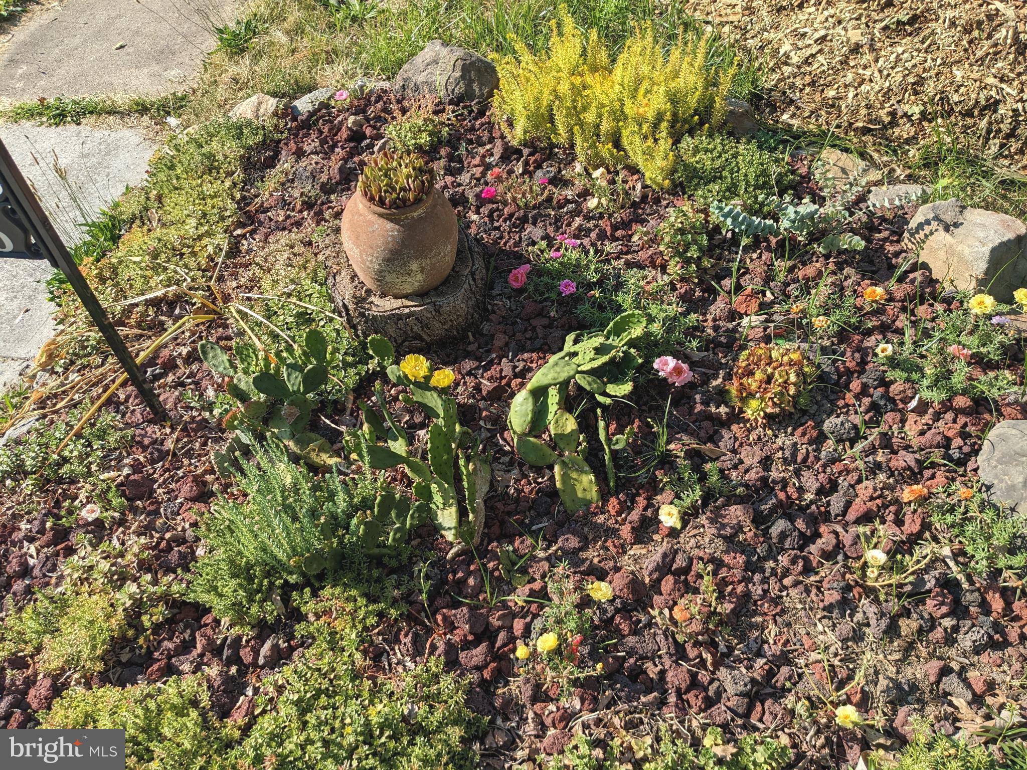 HAMILTON HEIGHTS - Residential