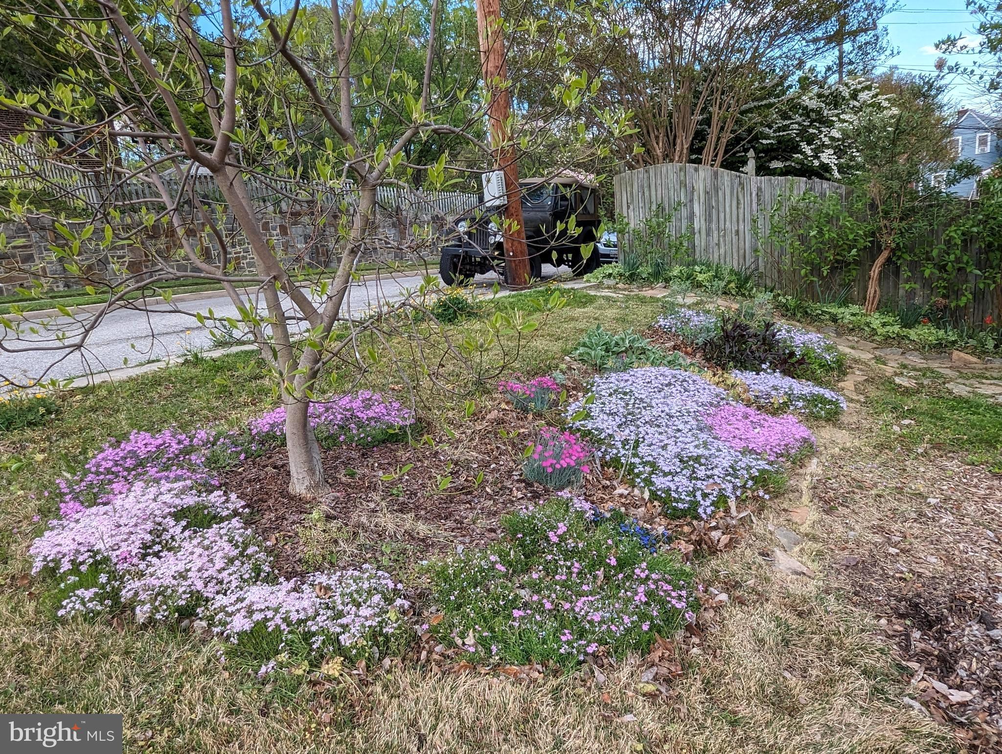 HAMILTON HEIGHTS - Residential