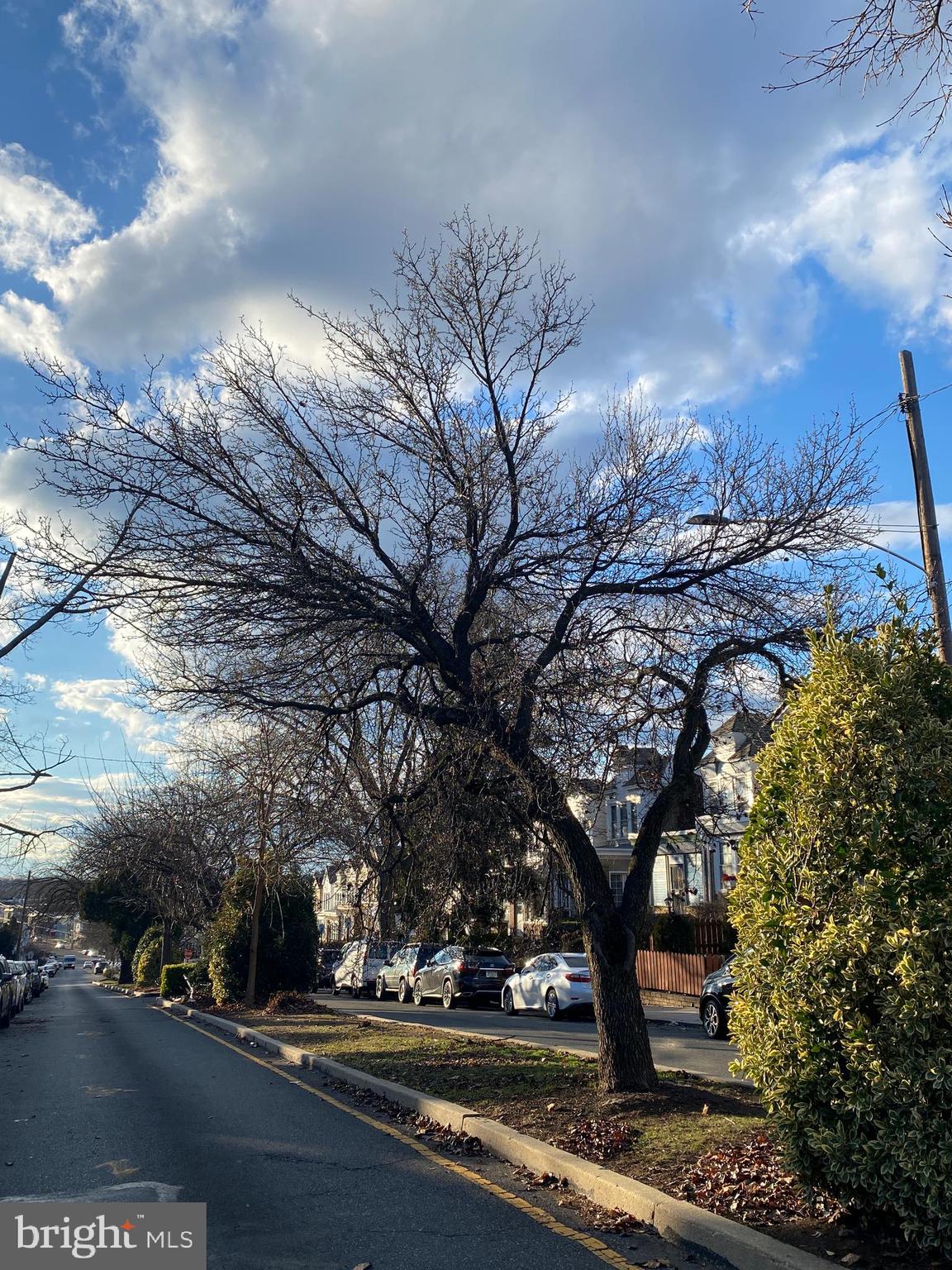 WYNNEFIELD - Residential